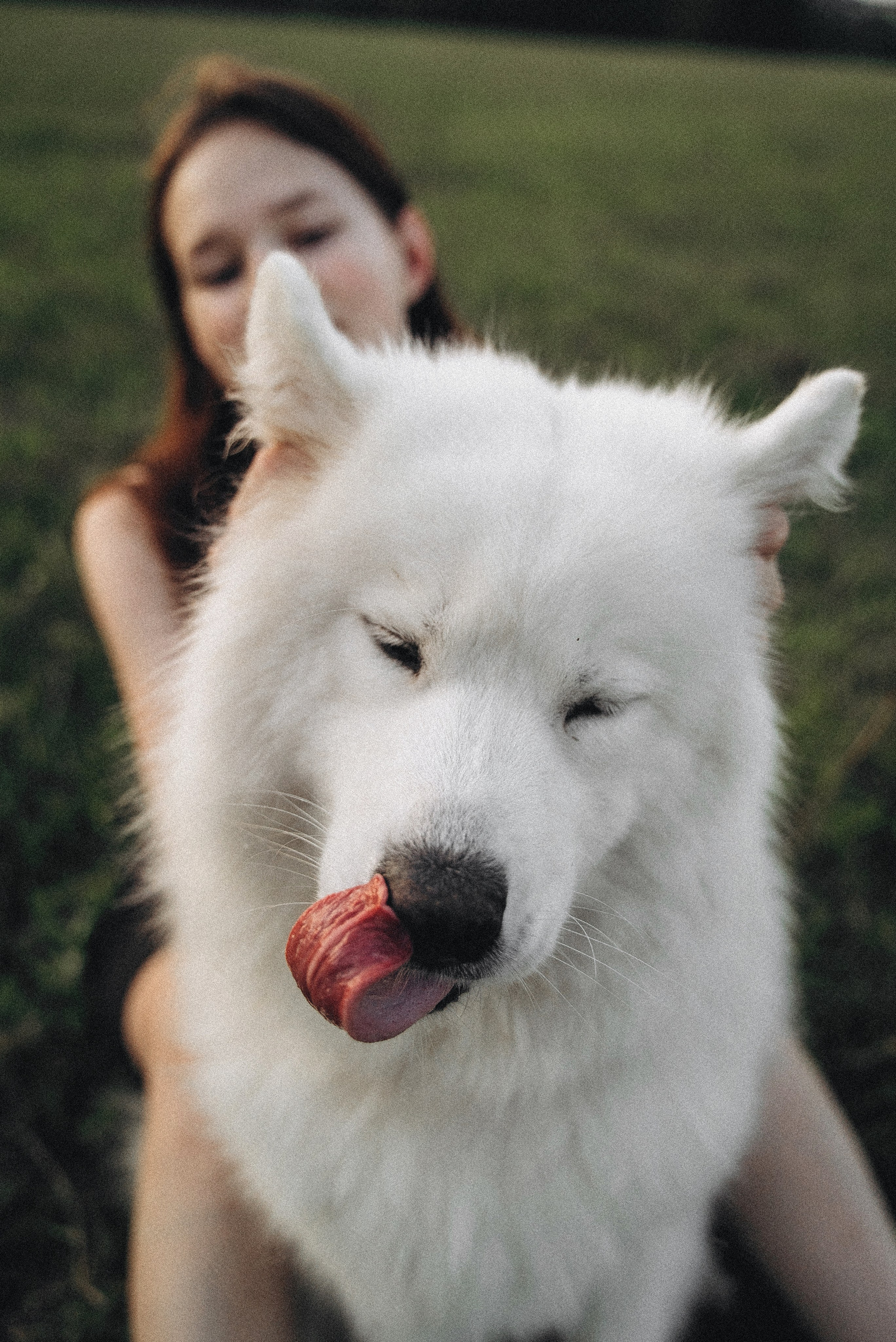 Алёна и Челси. Фотограф-анималист Богданова Полина
