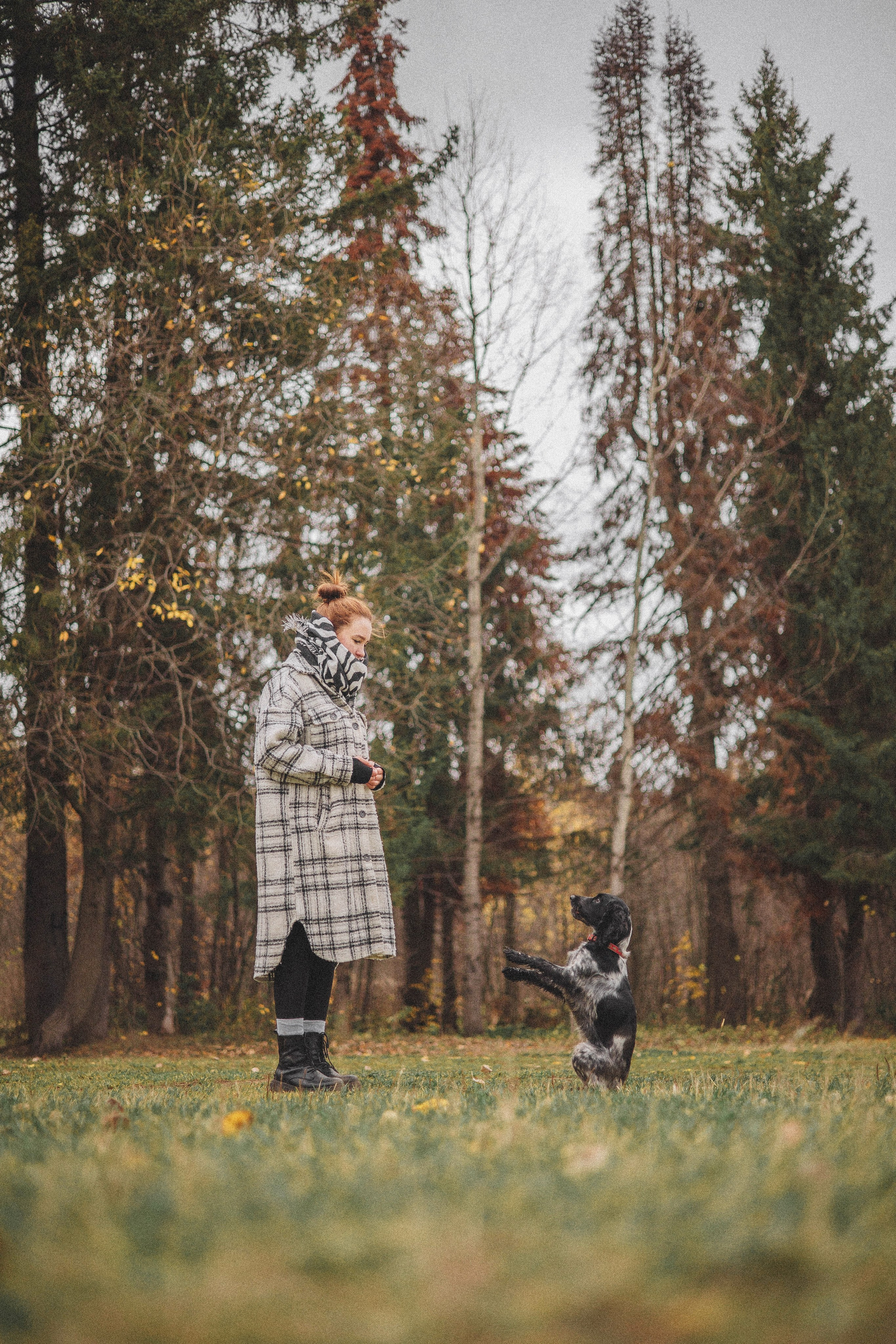 Вика и Ава. Фотограф-анималист Богданова Полина