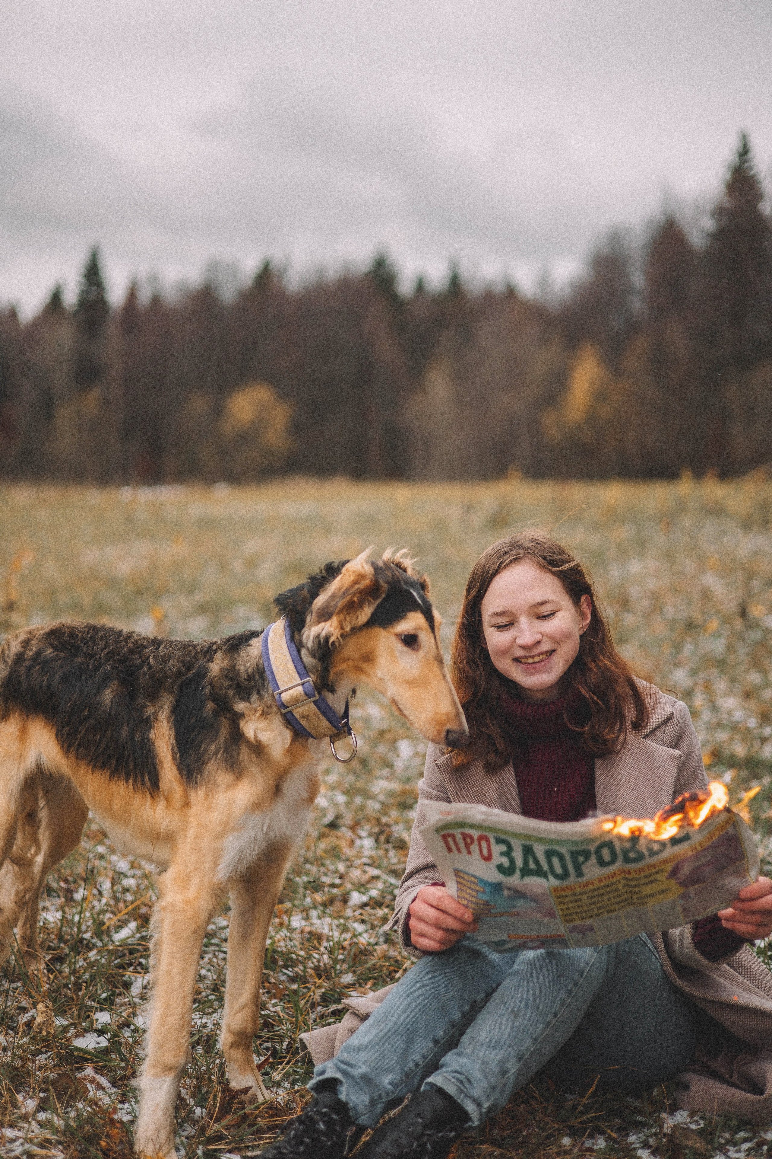 Алена, Леви и Микаса. Фотограф-анималист Богданова Полина