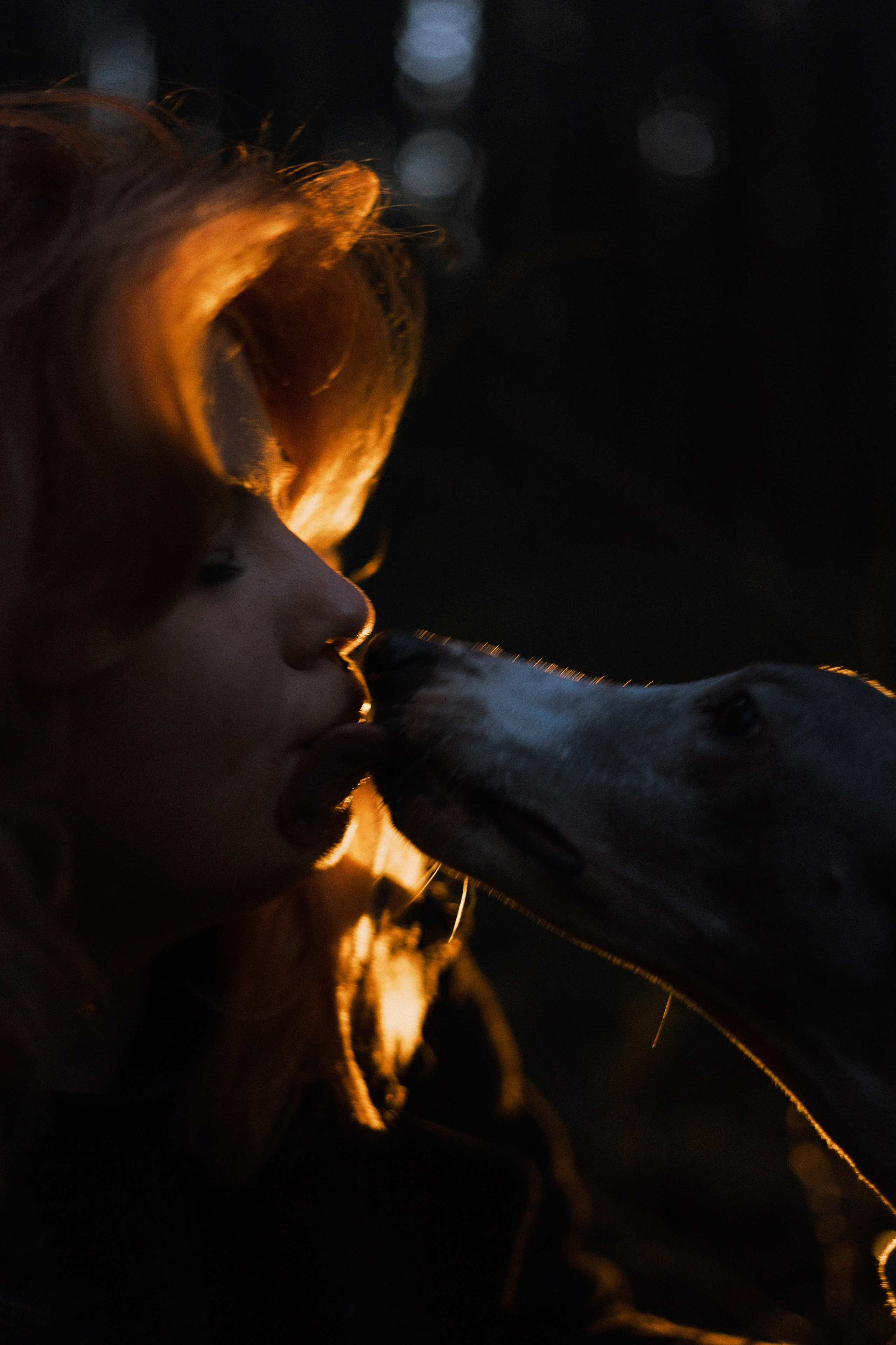 Вика, Джем и Белла. Фотограф-анималист Богданова Полина