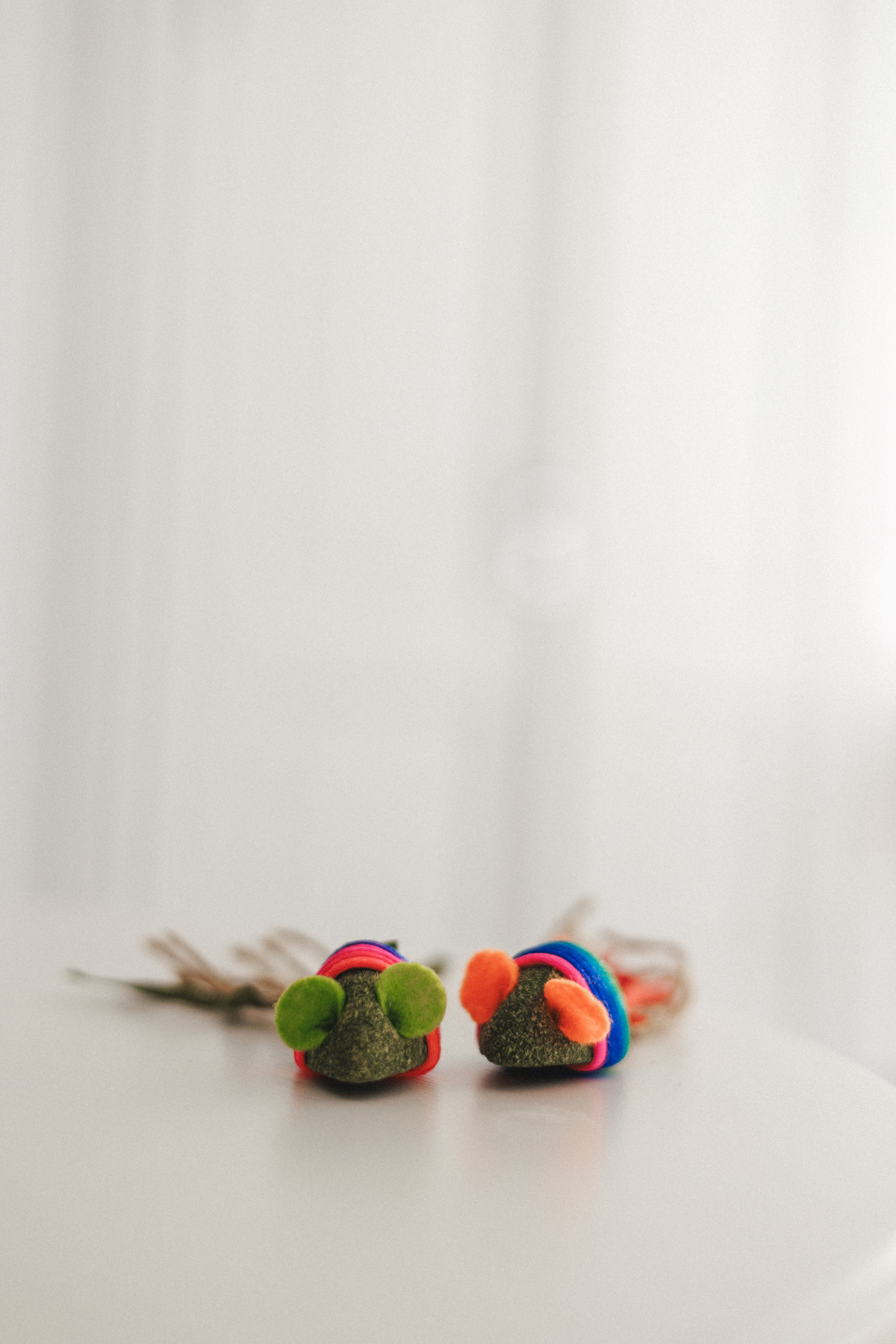 Товары для питомцев M-Pets & Petbiology. Фотограф анималист Осипчикова Мария