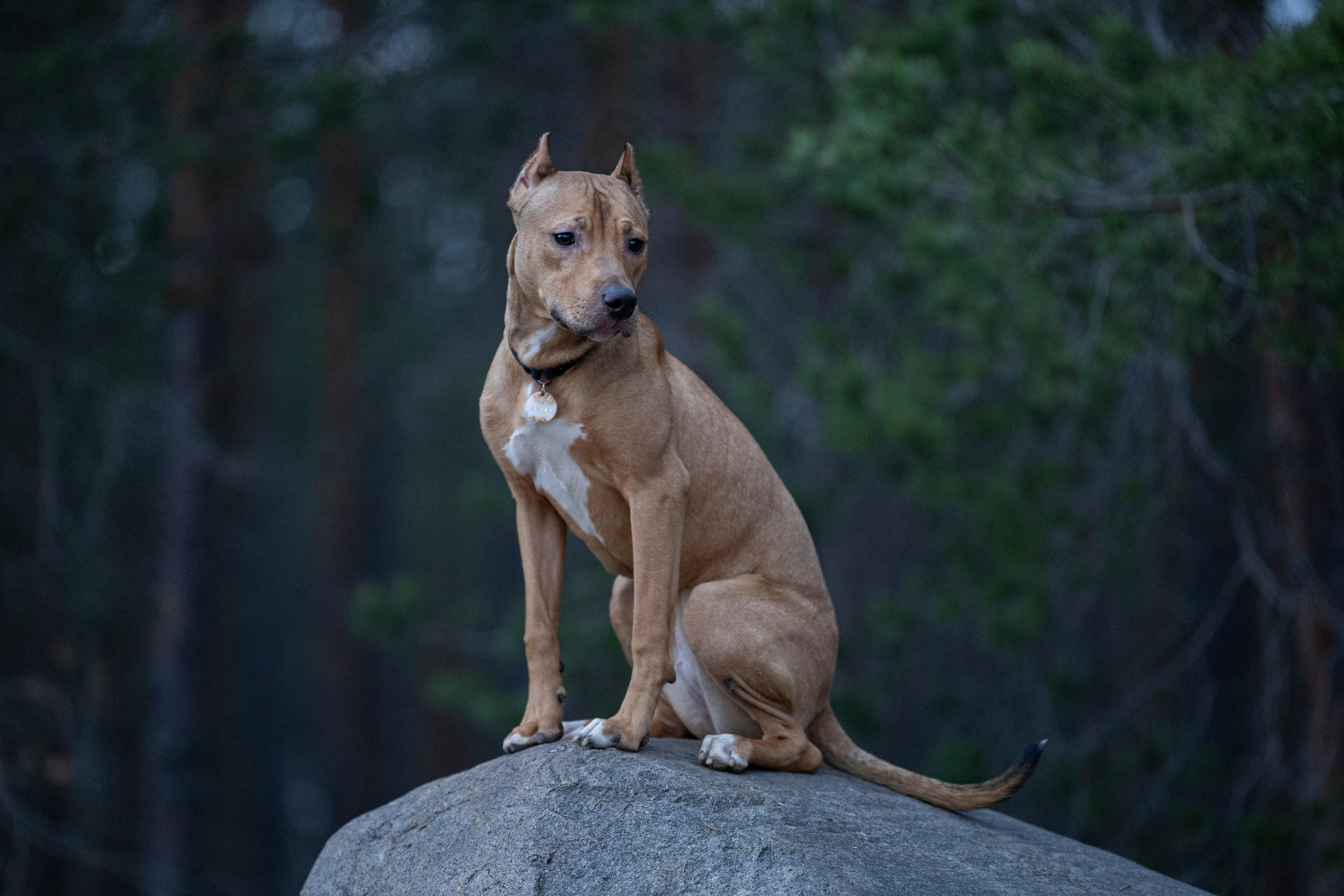 Лужские Мальдивы. Фотограф-анималист Анна Маринич