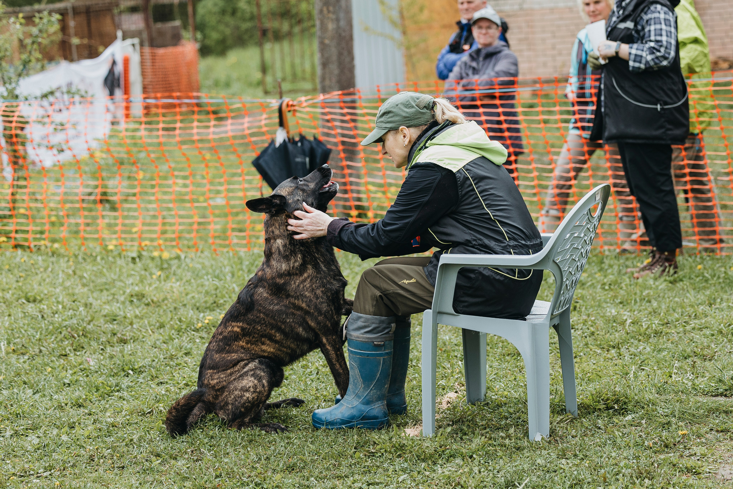 26.05.25 г. Пушкин квалификационные соревнования. Фотограф-анималист Анна Маринич