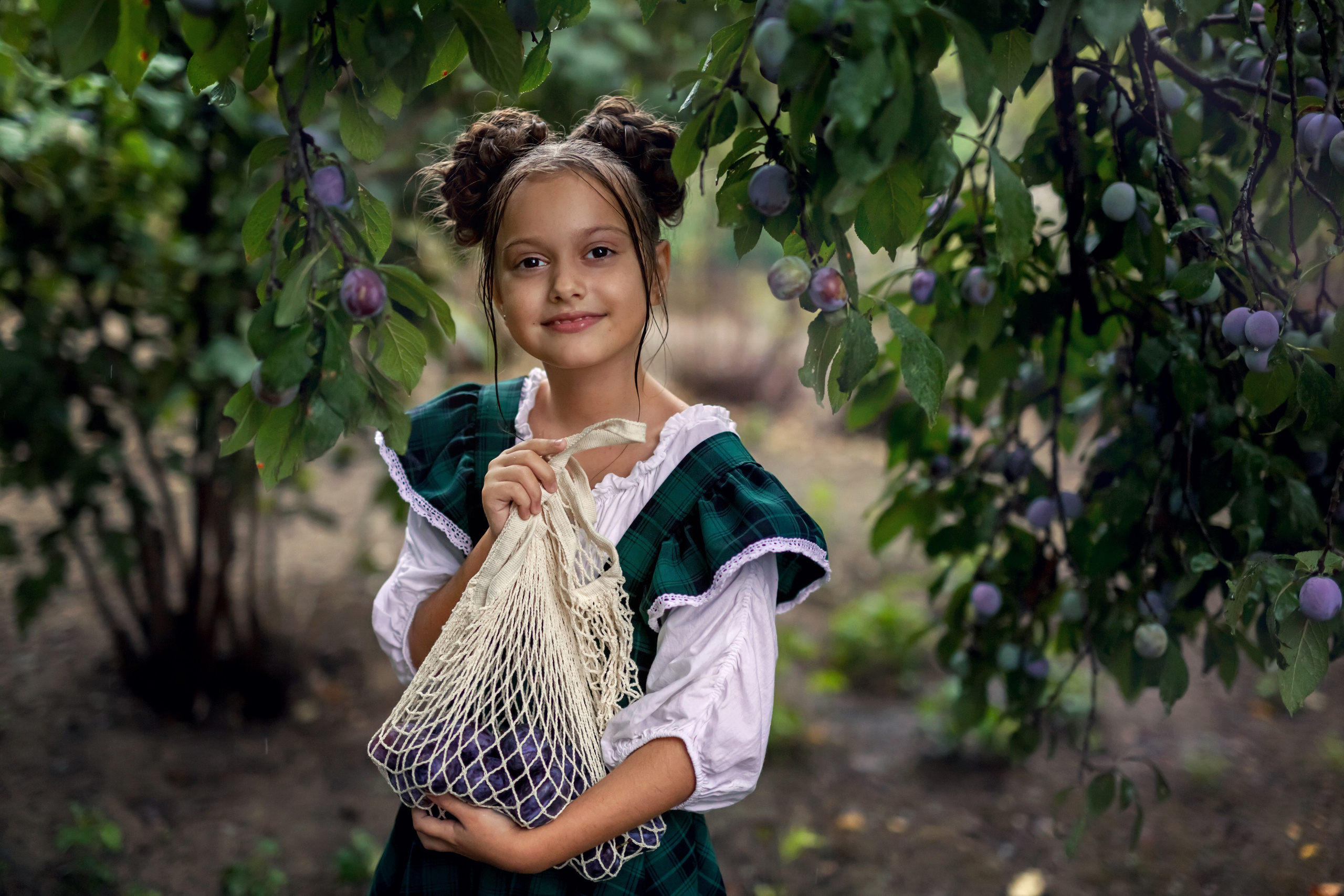 Сливовая история. Семейный и детский фотограф Екатерина Савёлова