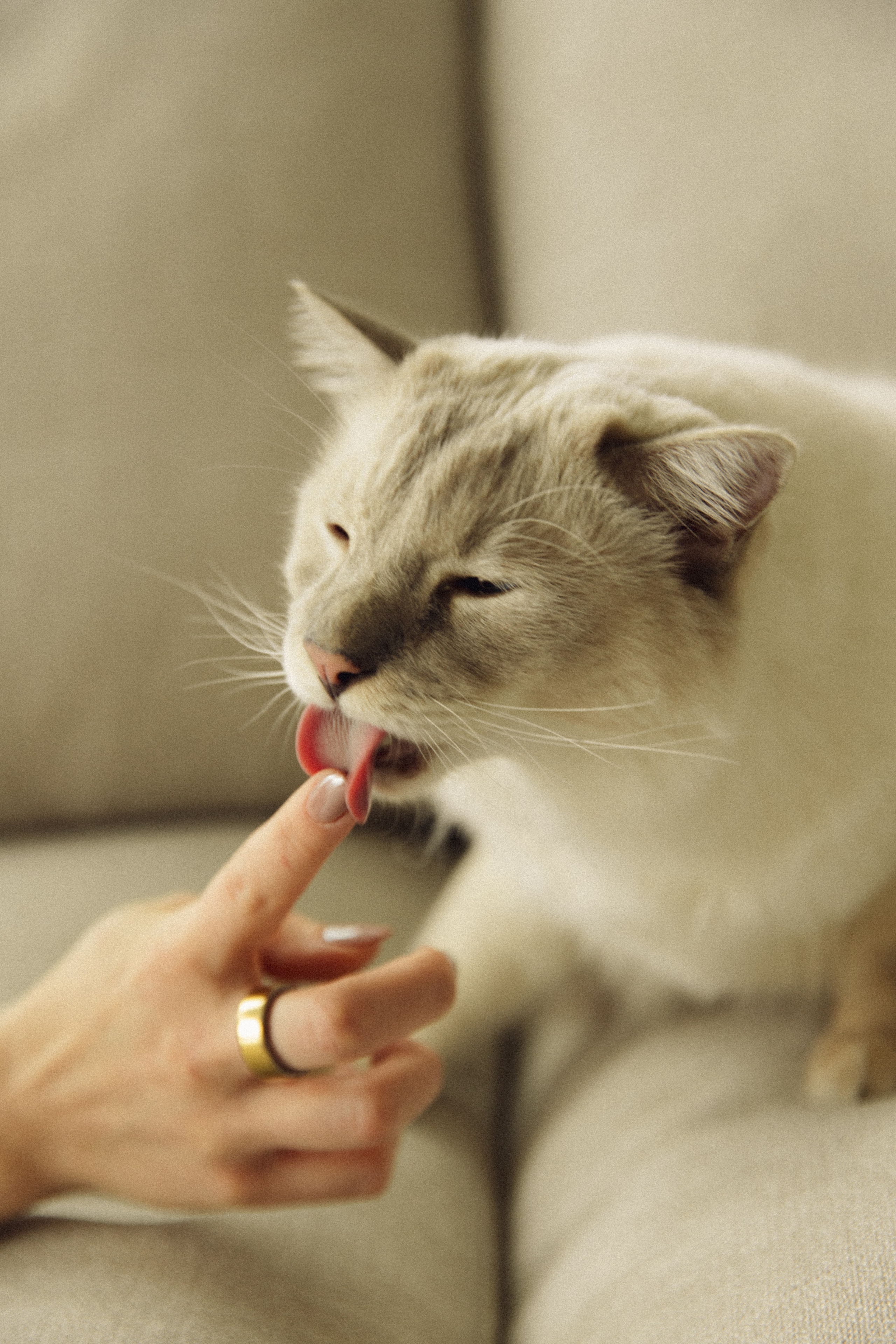 Briana+Fran. Портретный фотограф / Панама / Анастасия Елизарова