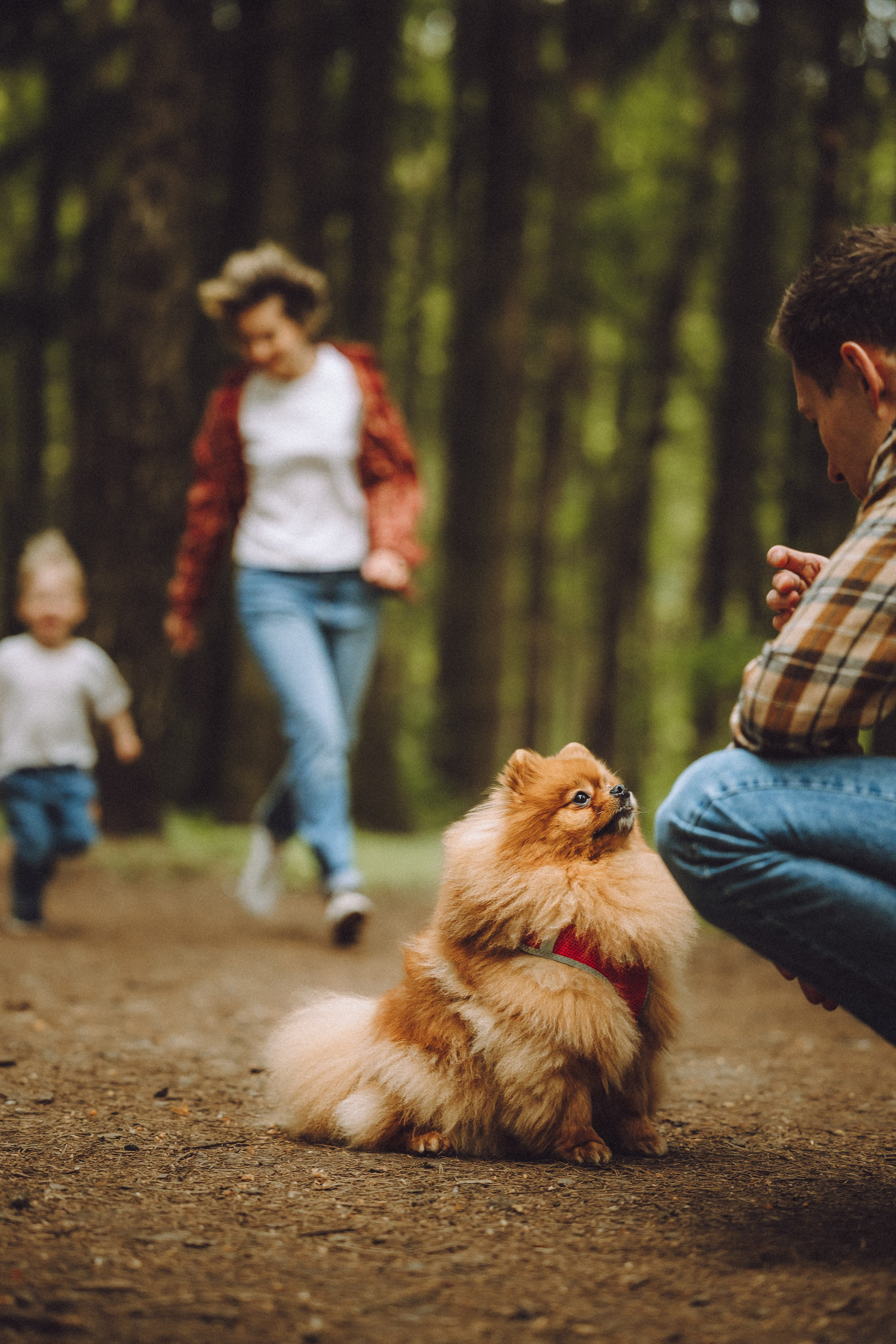 Лорик и его семья