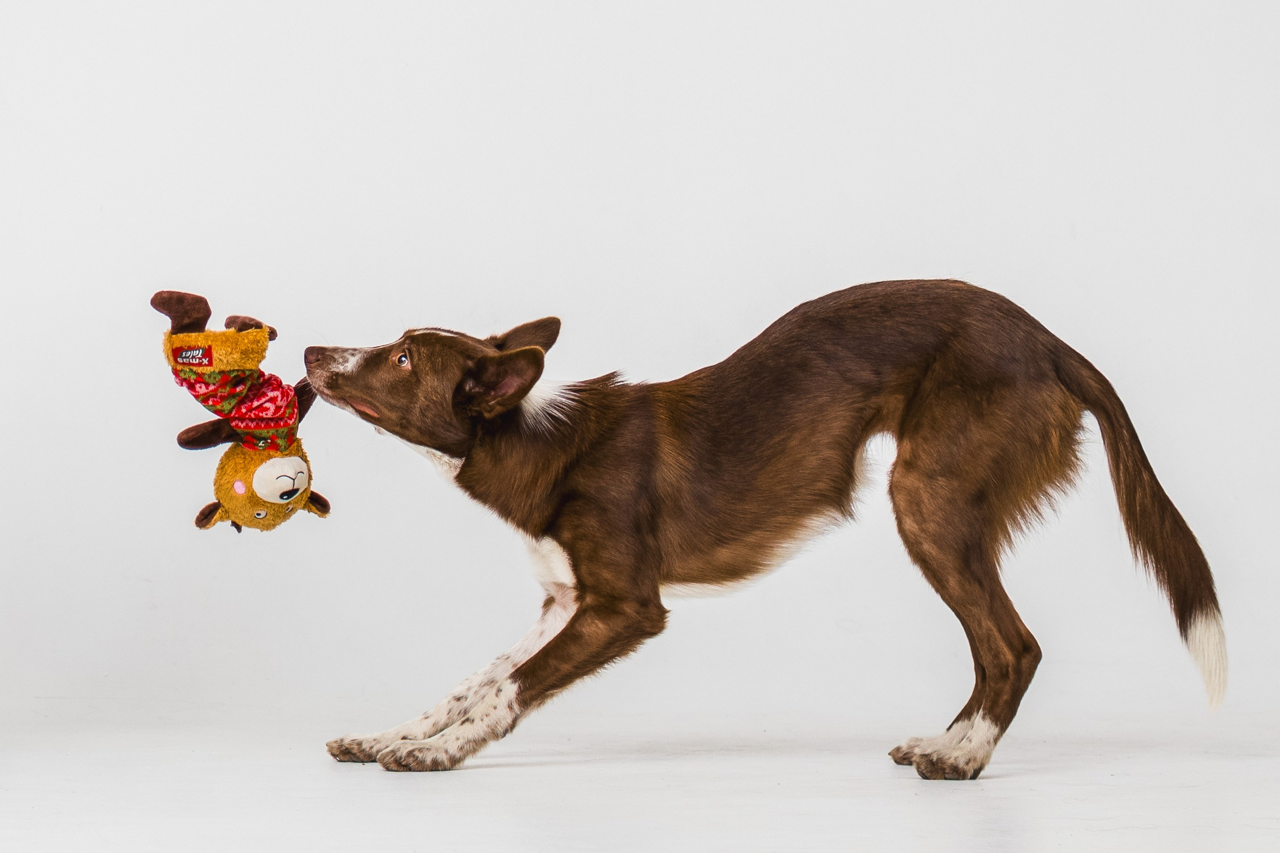 Воркшоп по импульсному свету
