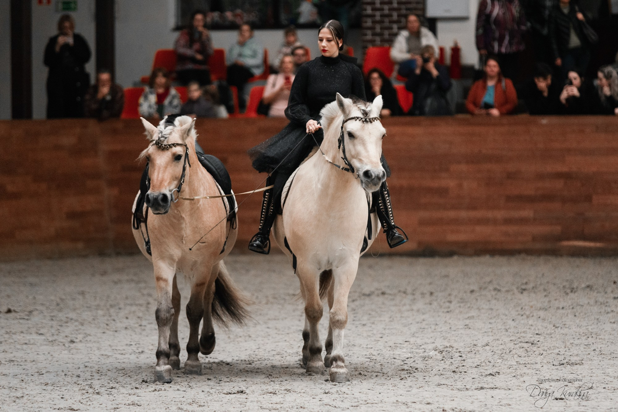 8-я международная выставка Конная Россия. Конный фотограф Куракина Дарья • Фотосессии с лошадьми