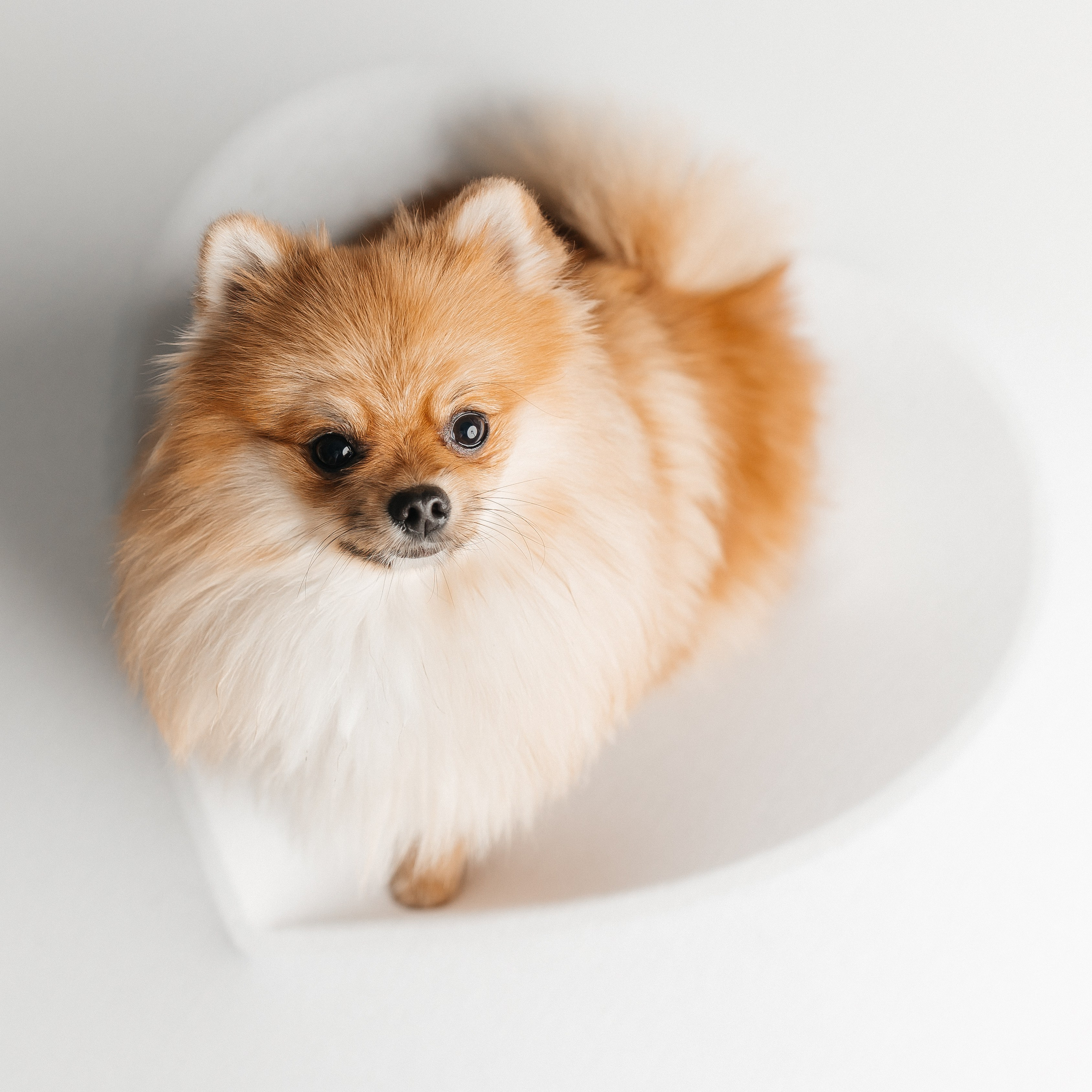 Ваши фото. Самые нежные фотографии