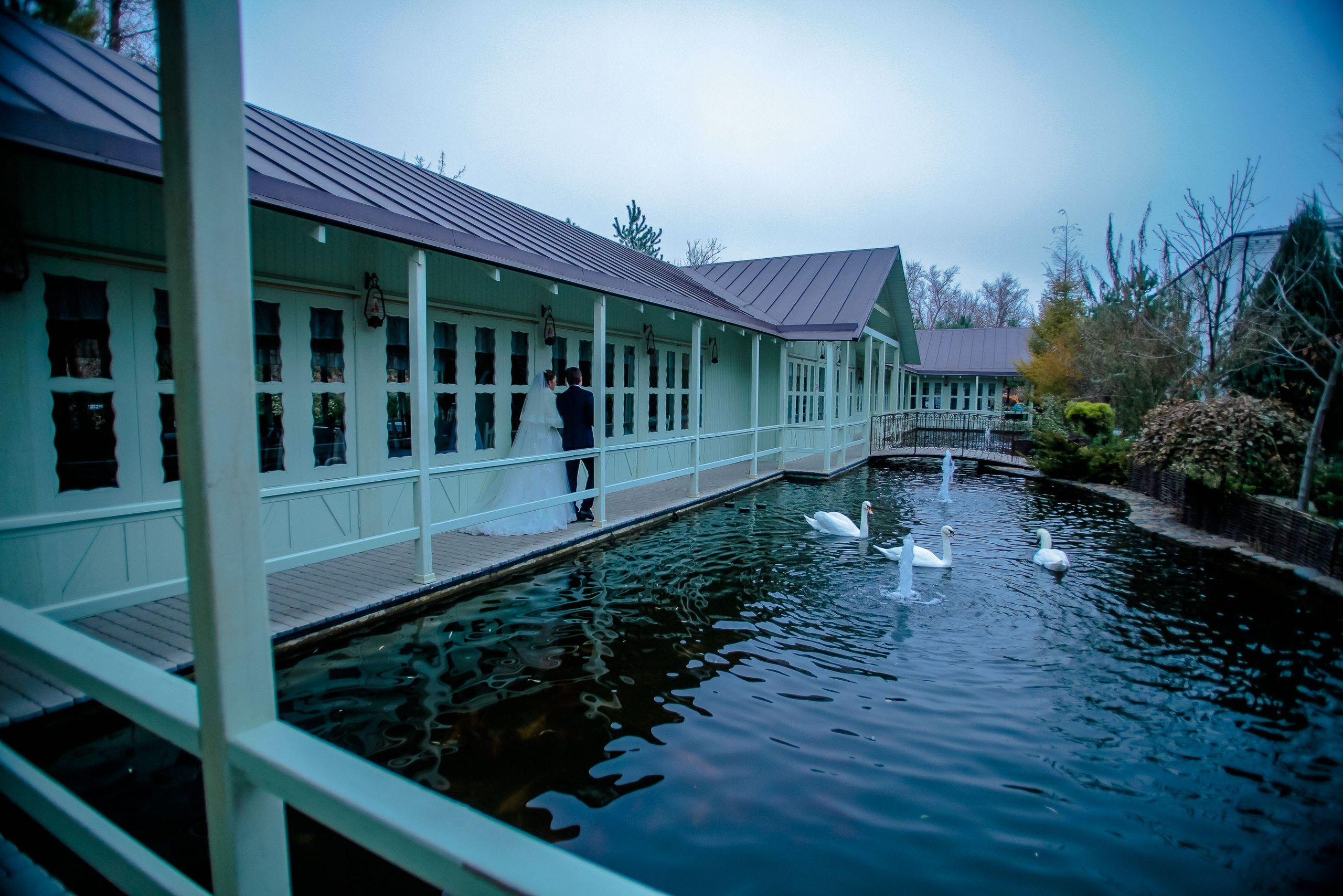 Прогулка/Walk. Максим Матвийченко и Виктория Басова профессионалы своего дела