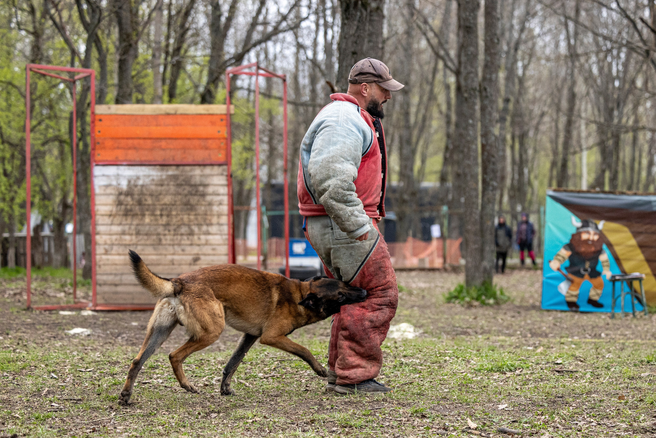Квалификационные состязания по мондьорингу г. Вологда 11.05.24. Фотограф-анималист Анна Маринич