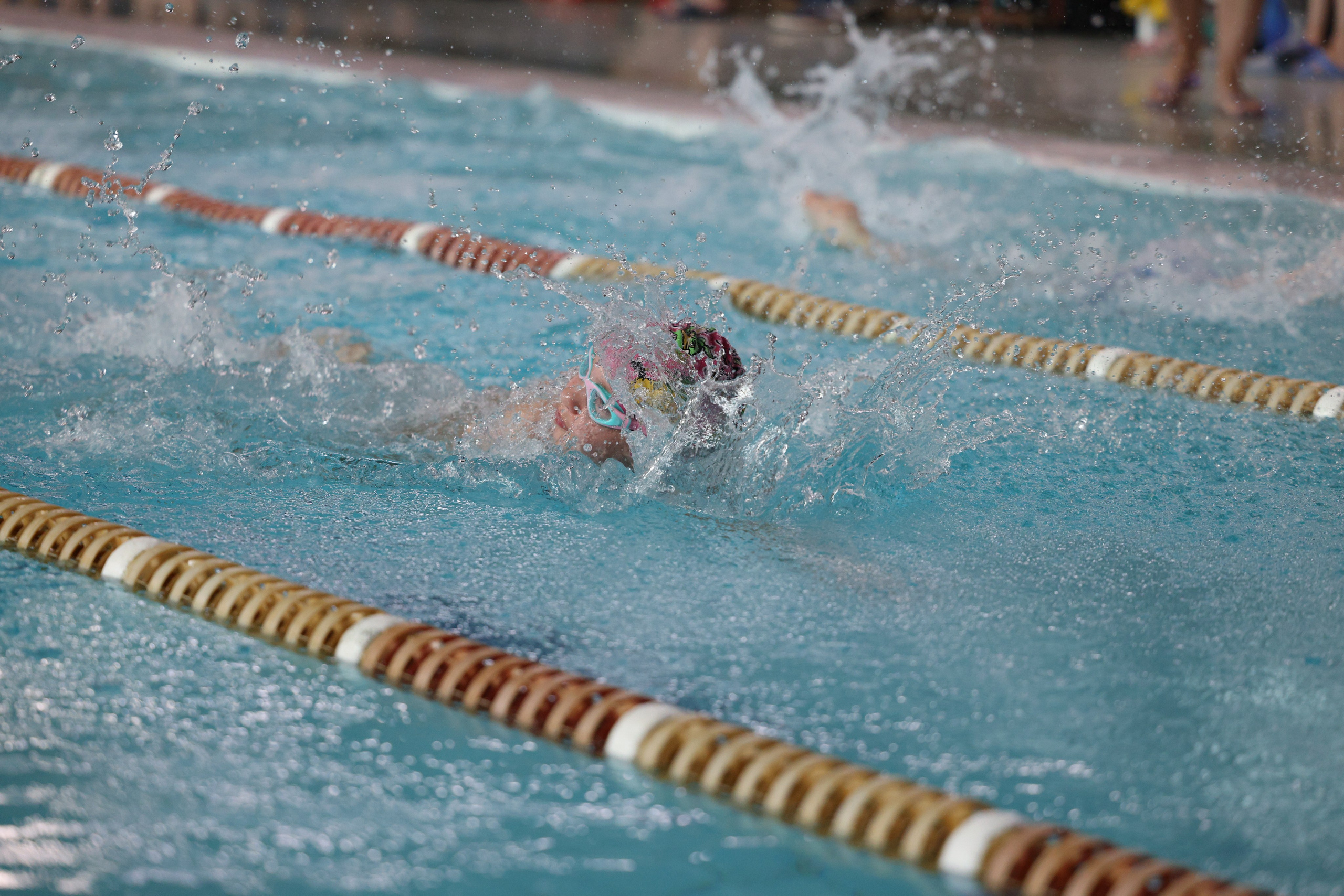 Веселый дельфин. Плавание. Дети 8-9 лет. Фотограф Александр Заломаев