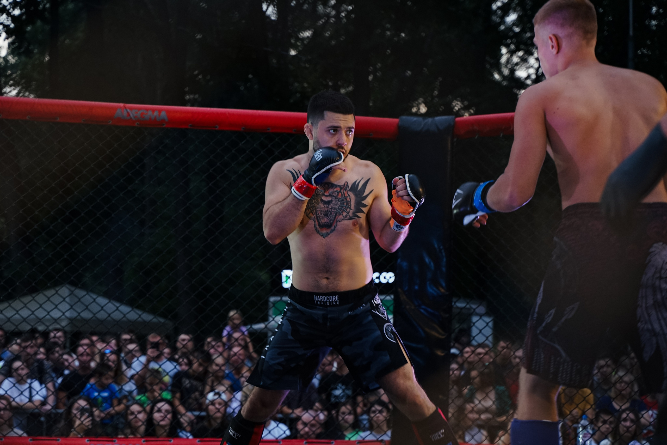 Вечер боев в ЦПКиО. Фотограф Надежда Погребняк | Рязань | Москва