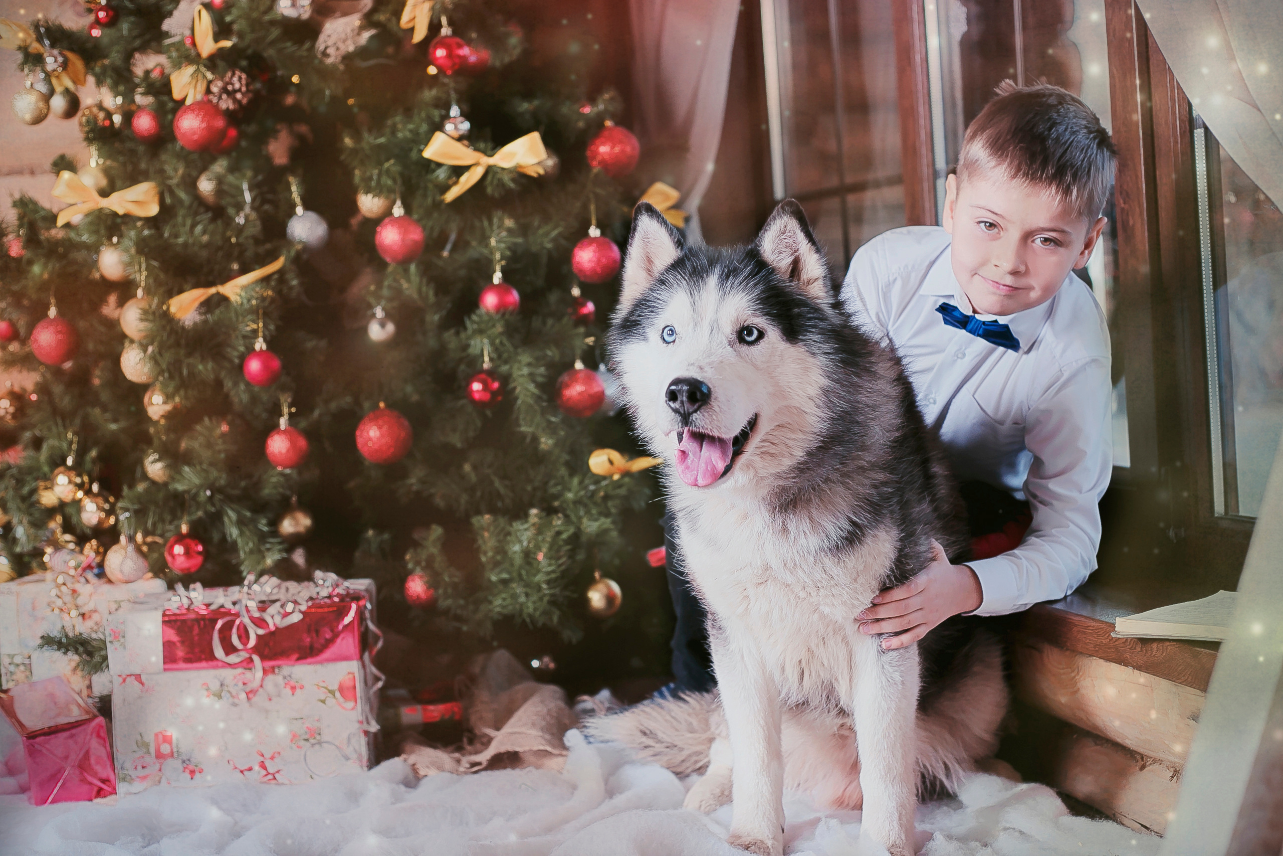 Новогодний фотопроект 2018,Новогодние фотосессии, Деревянная усадьба. Свадебный и семейный профессиональный фотограф в Ростове-на-Дону , Кри
