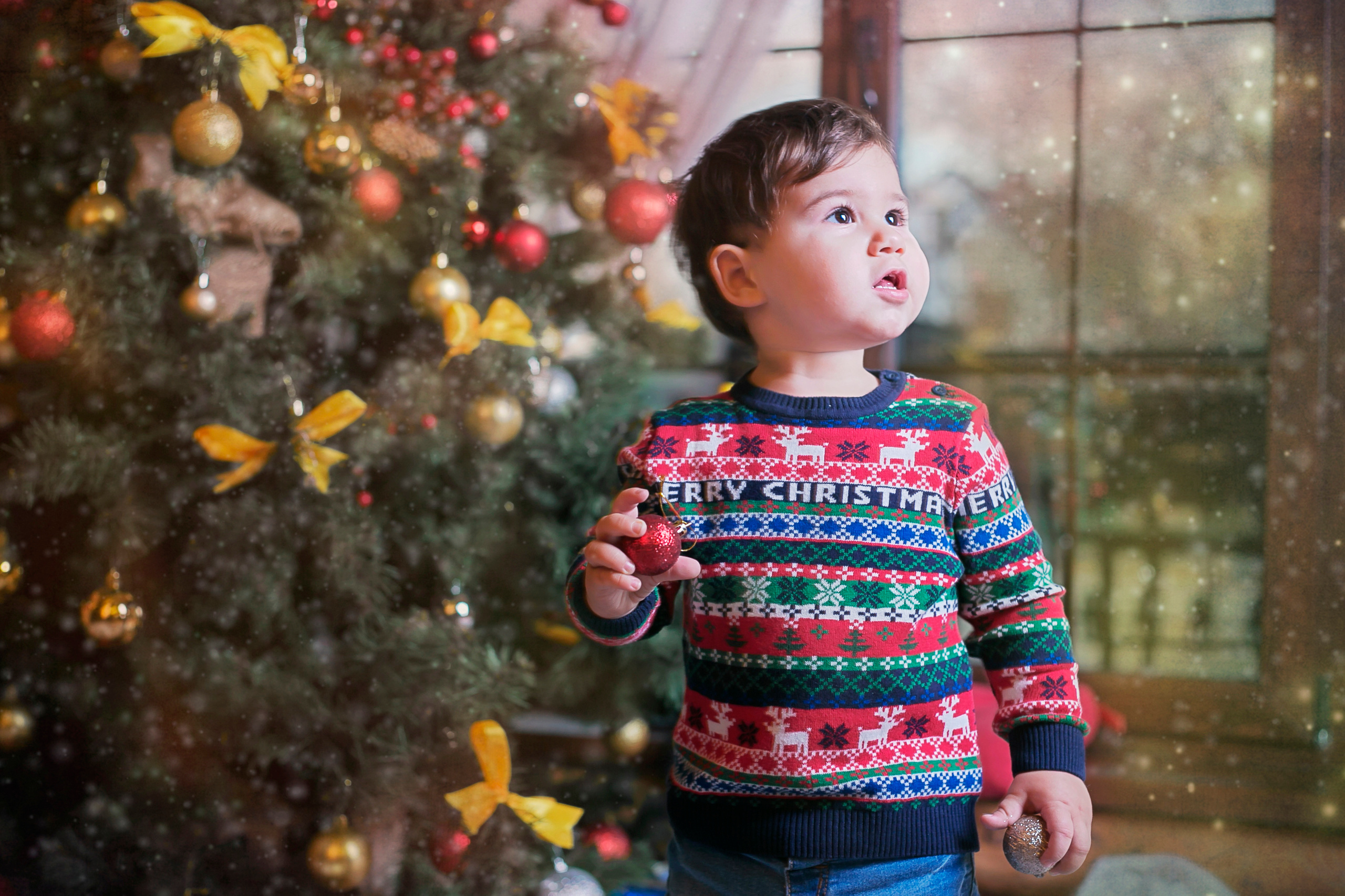 Новогодний фотопроект 2018,Новогодние фотосессии, Деревянная усадьба. Свадебный и семейный профессиональный фотограф в Ростове-на-Дону , Кри