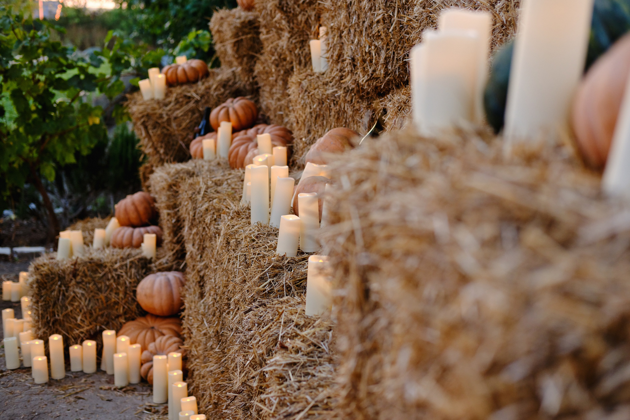 Vine and mons. Фотограф в Анапе и Краснодаре Тина