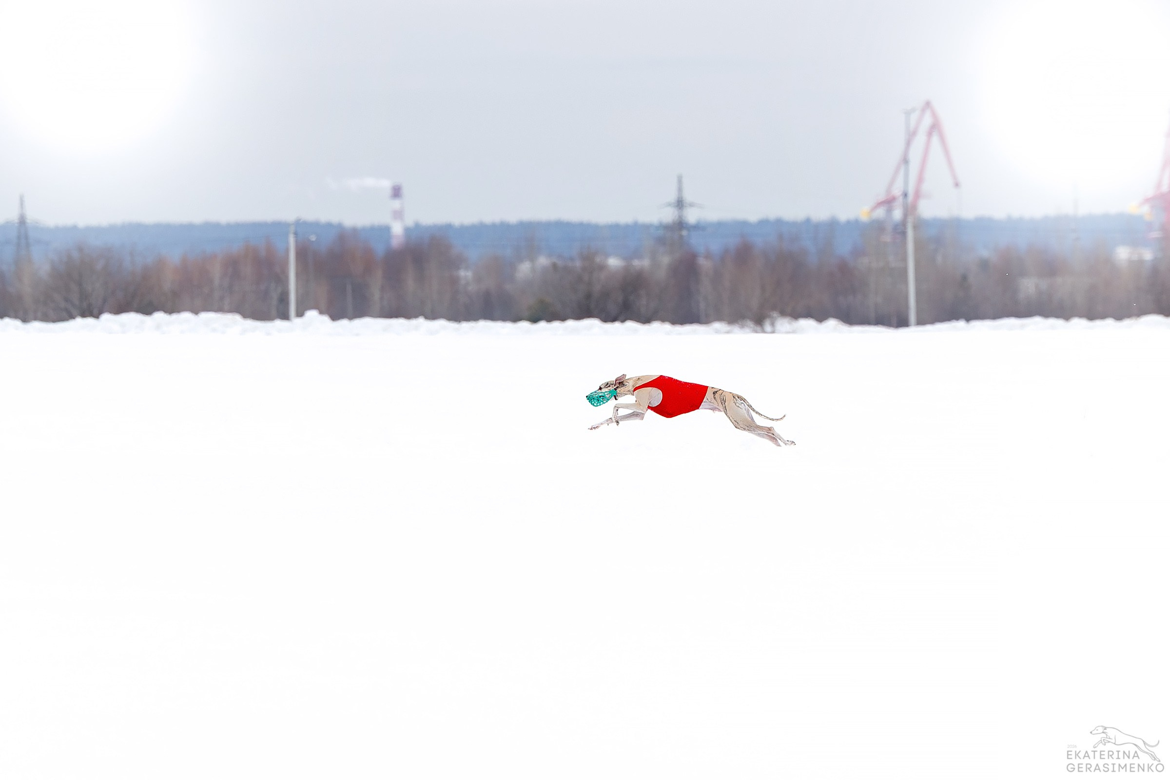 Курсинг. Htykk_photo