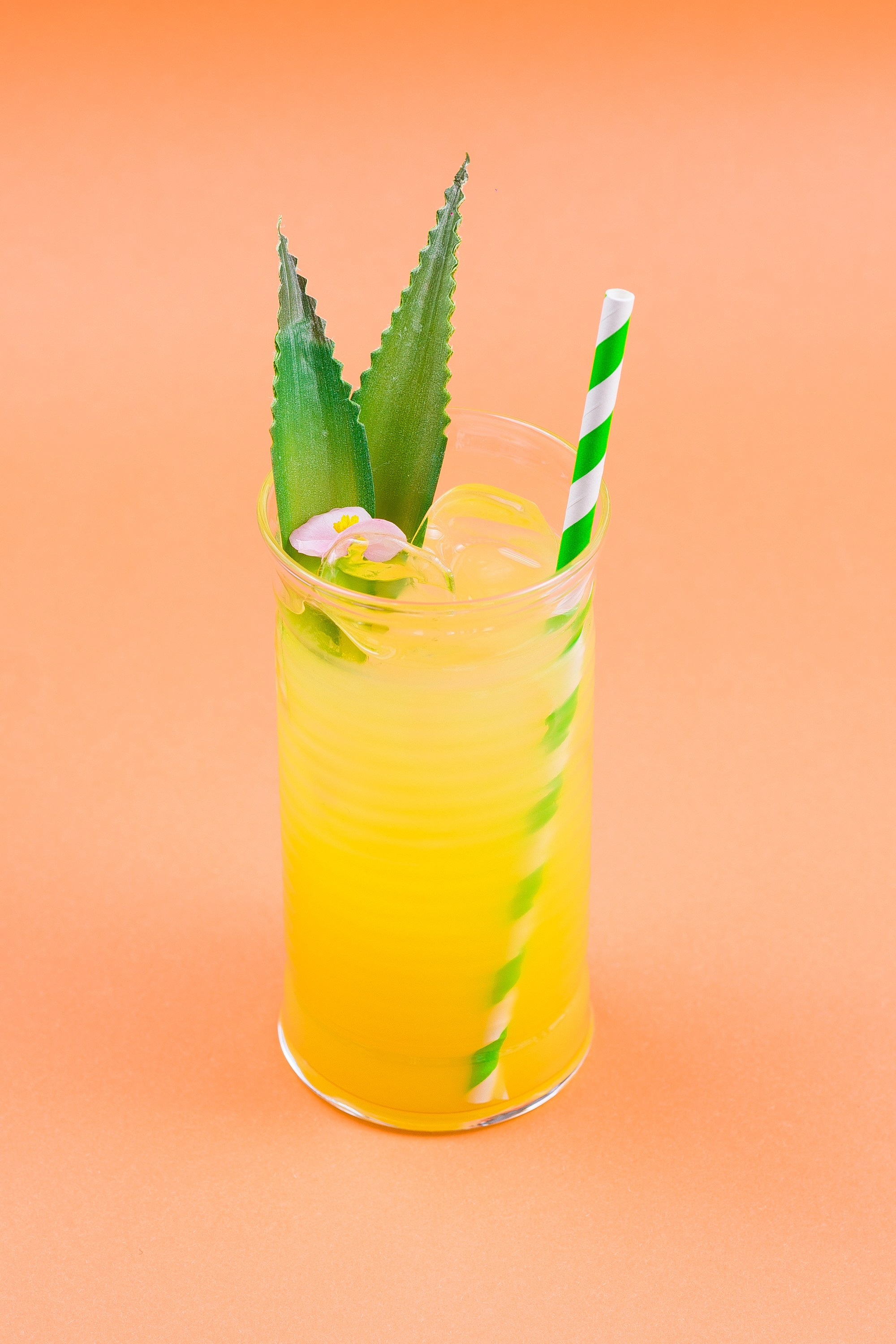 Organza. Главная