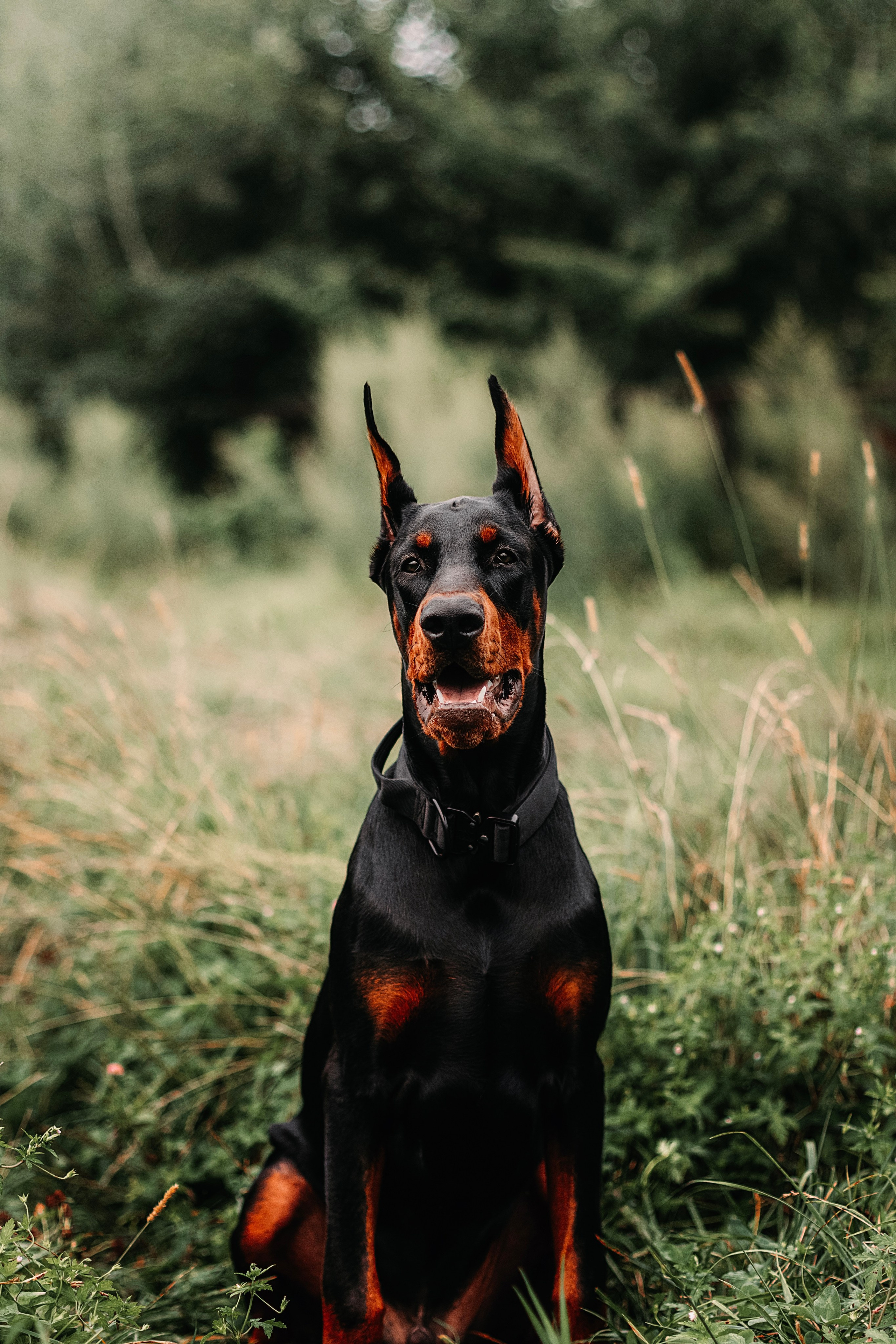 Лимб. Фотограф в Арсеньеве