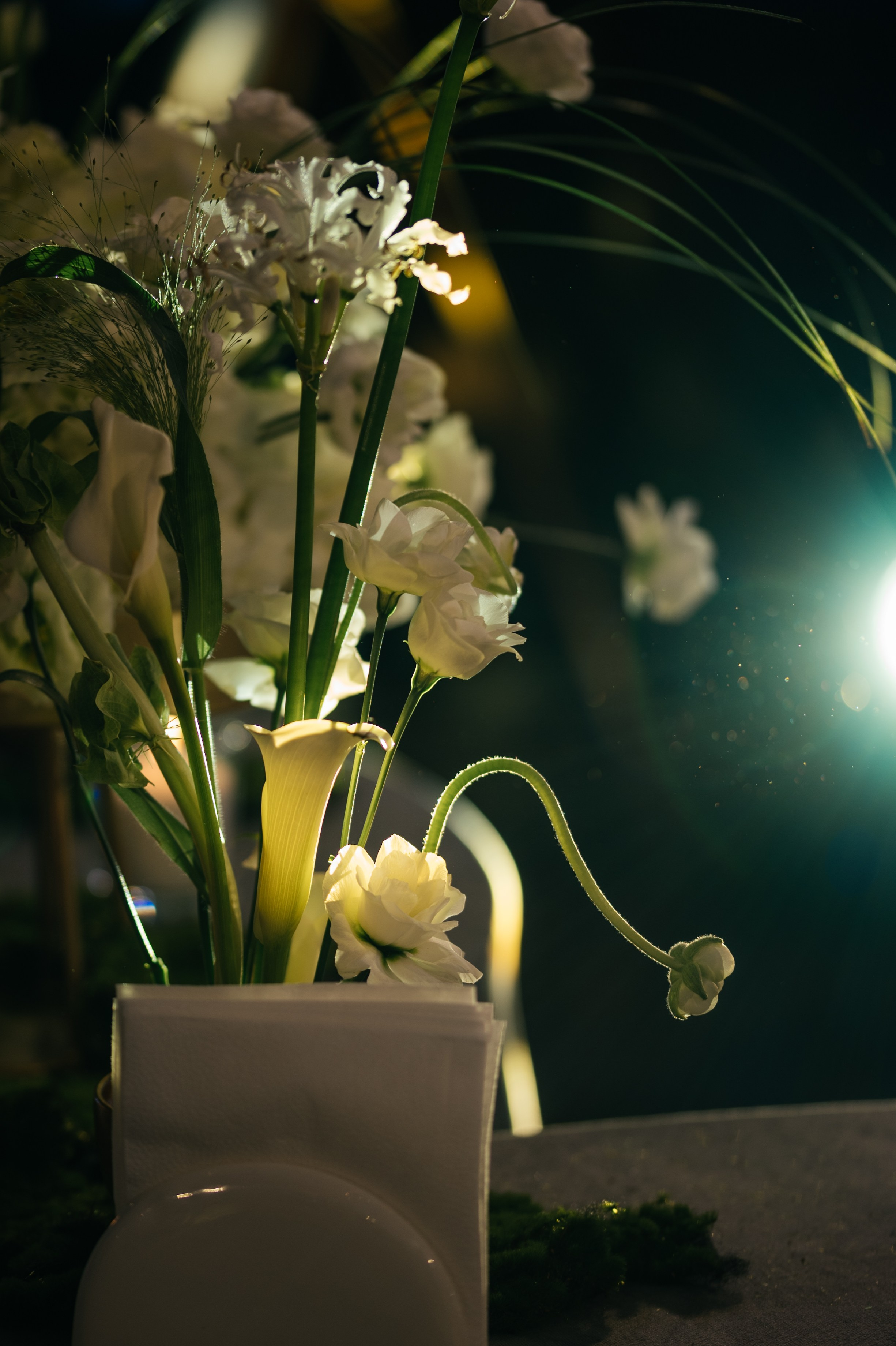 Павел и София. Свадебный и студийный фотограф Ирина Котикова