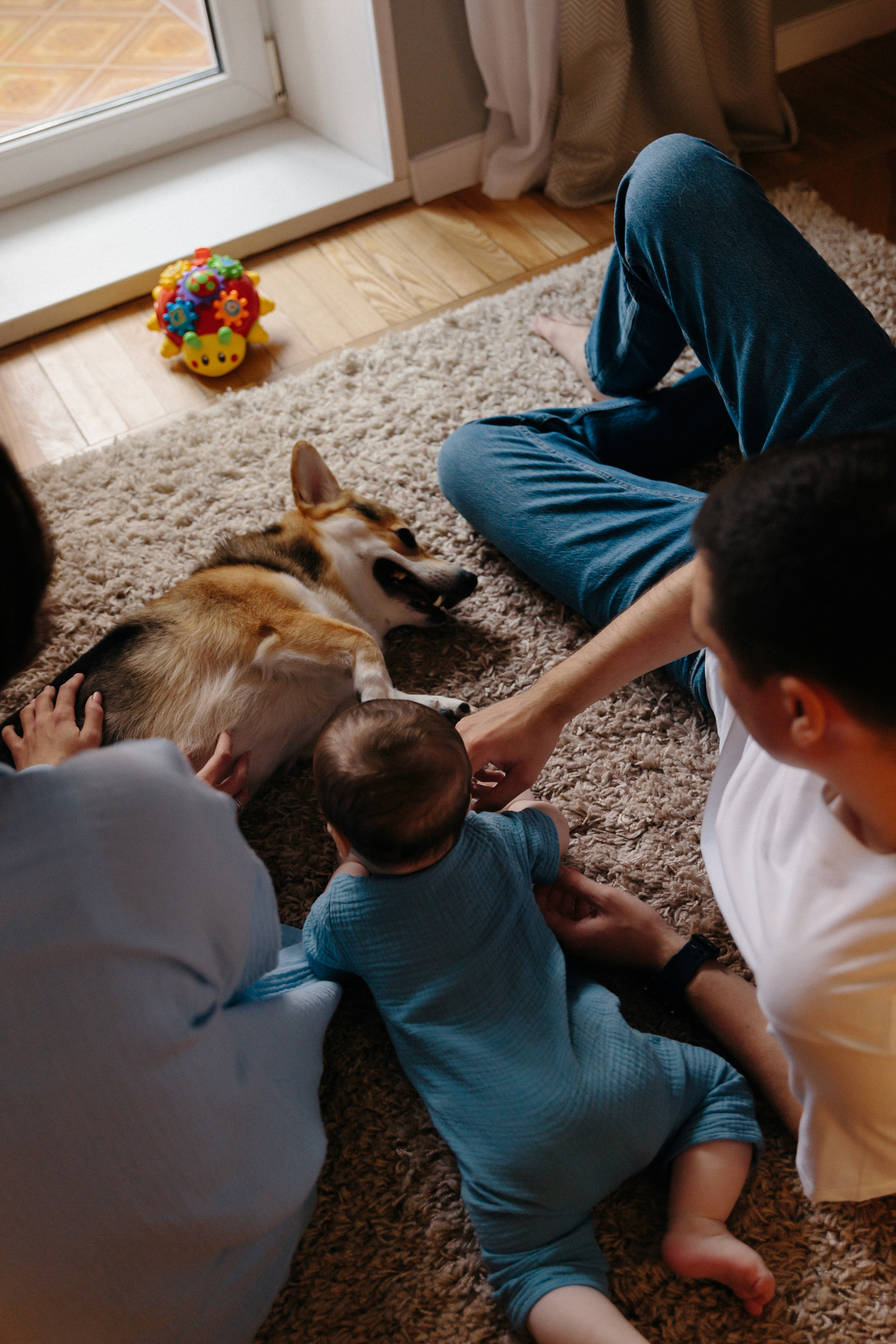 Федя 6 месяцев. Фотограф Влада Лаптева Владивосток, Приморский край