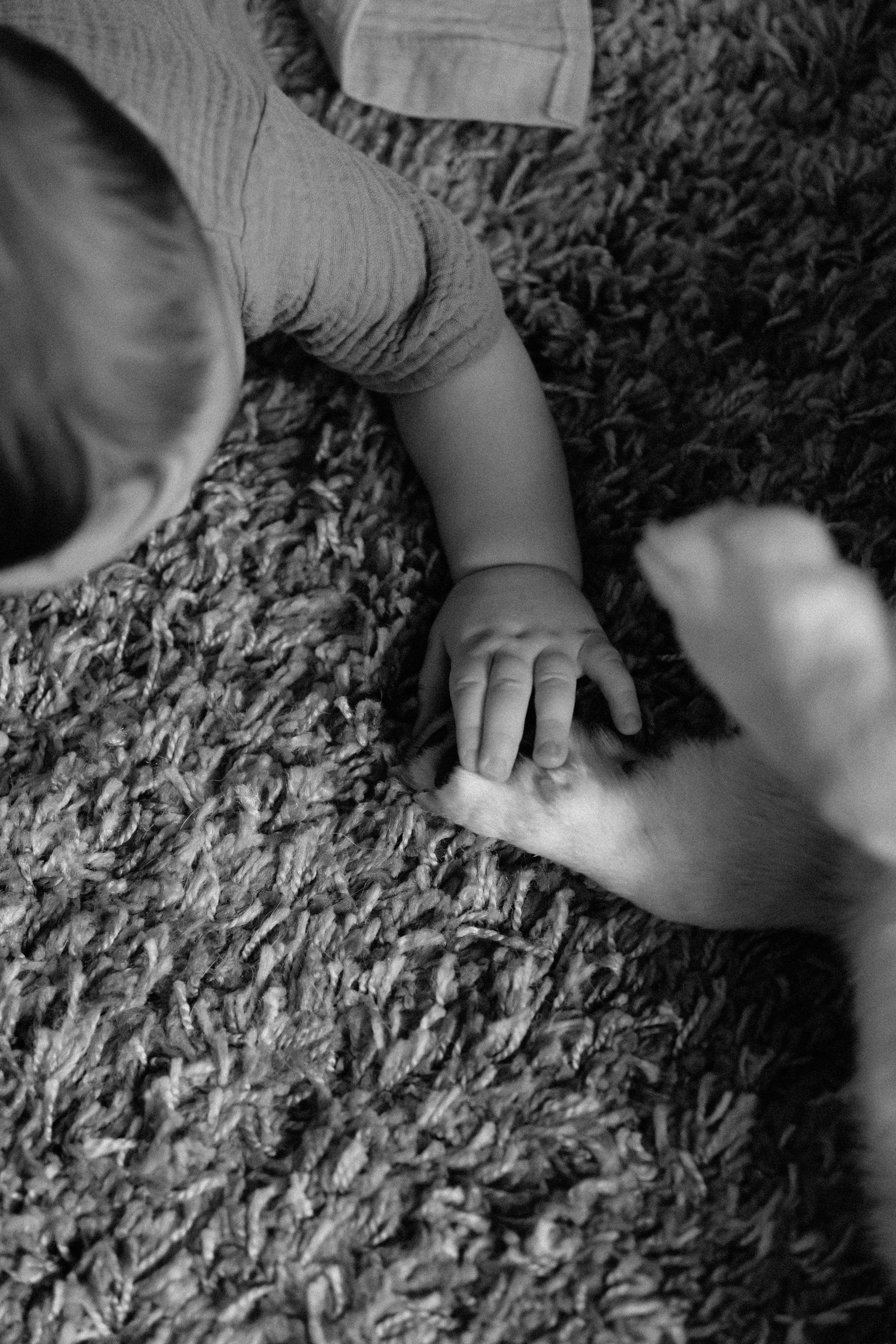 Федя 6 месяцев. Фотограф Влада Лаптева Владивосток, Приморский край