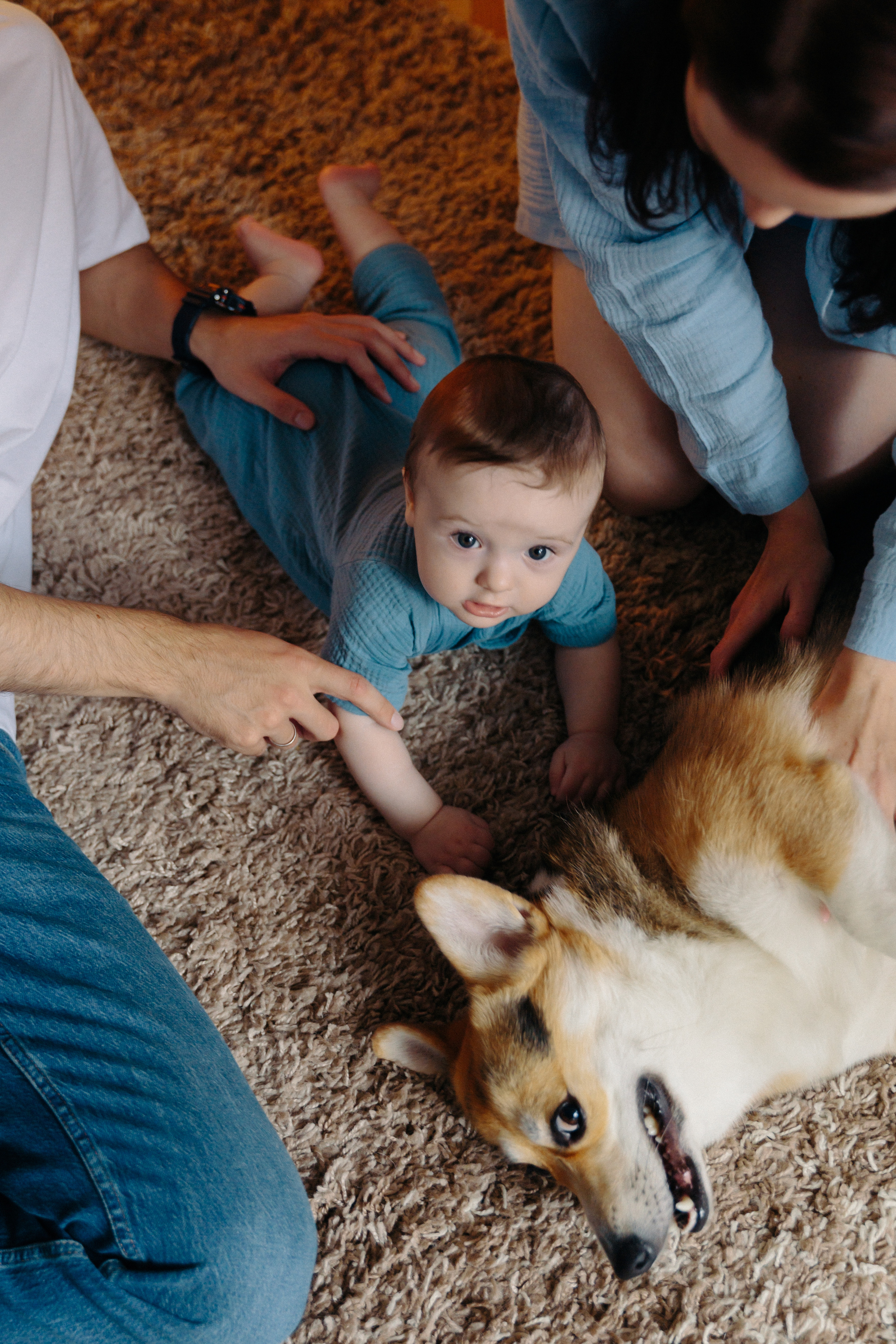 Федя 6 месяцев. Фотограф Влада Лаптева Владивосток, Приморский край