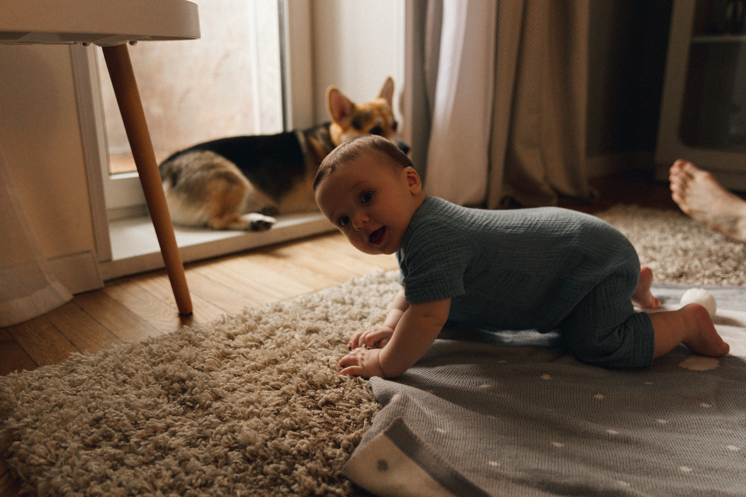 Федя 6 месяцев. Фотограф Влада Лаптева Владивосток, Приморский край