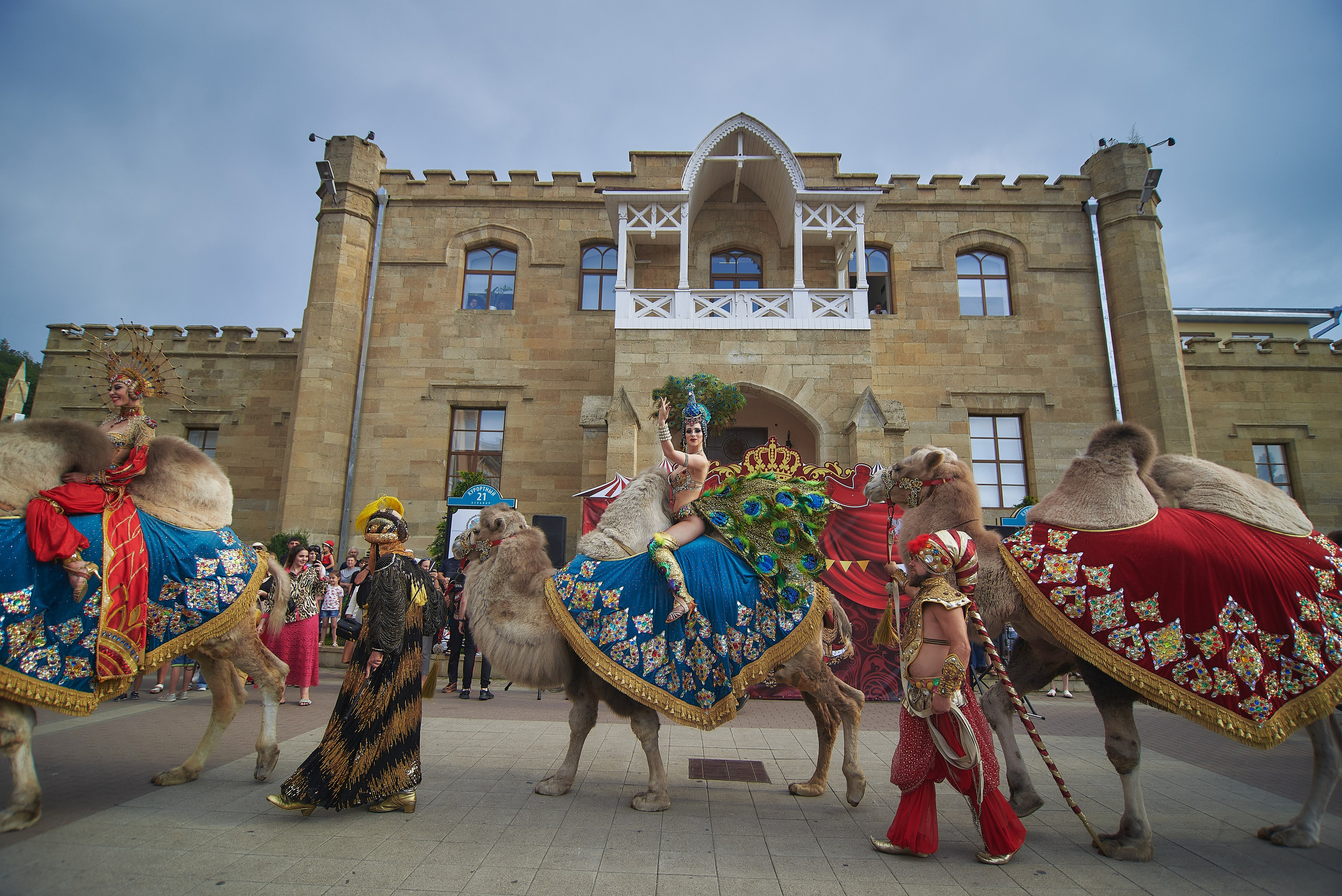 Цирк. Премьера программы. Константин Кордонский | Интерьерный и food-фотограф в Кисловодске и КМВ