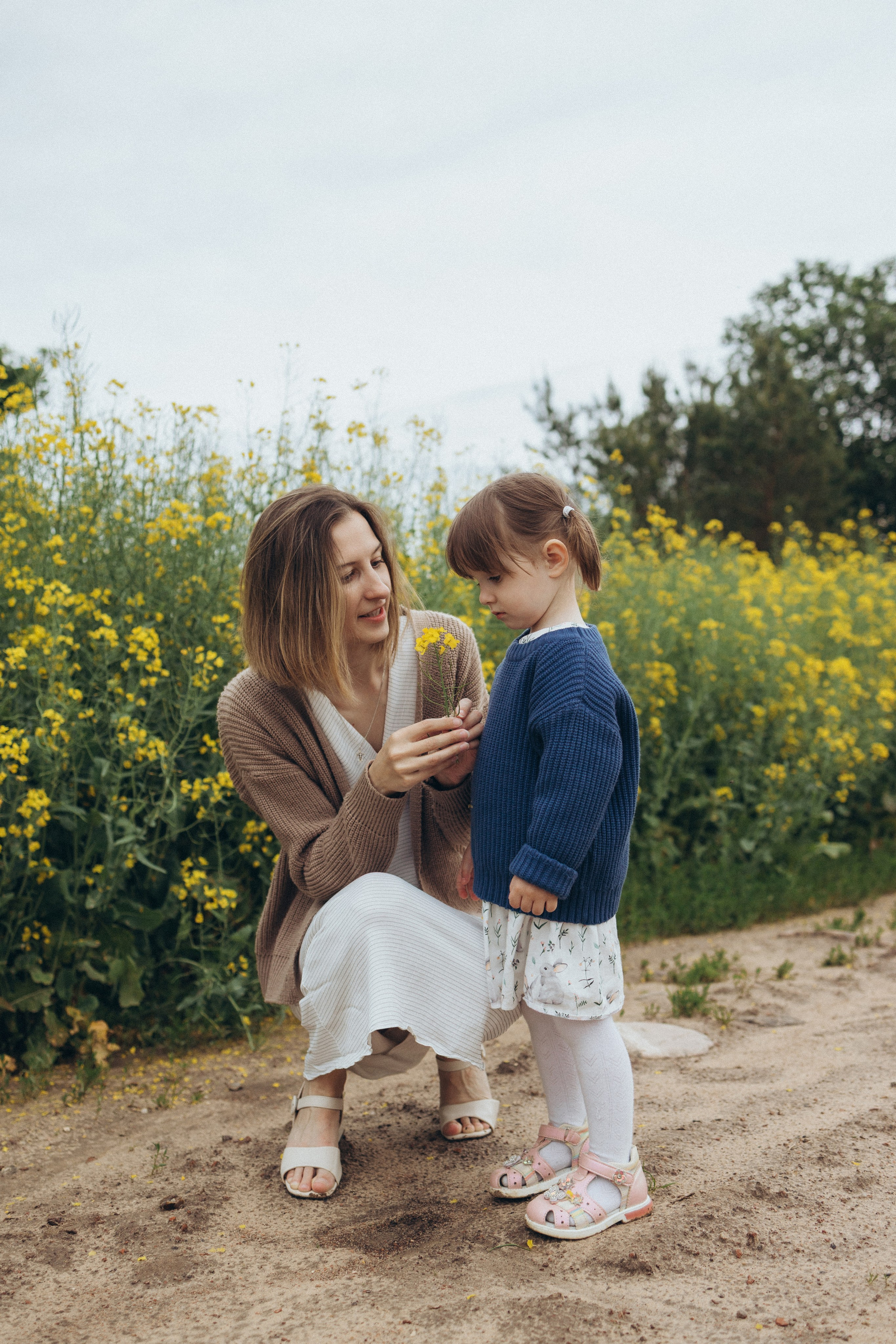 После дождя. Фотограф Елена Рябцева