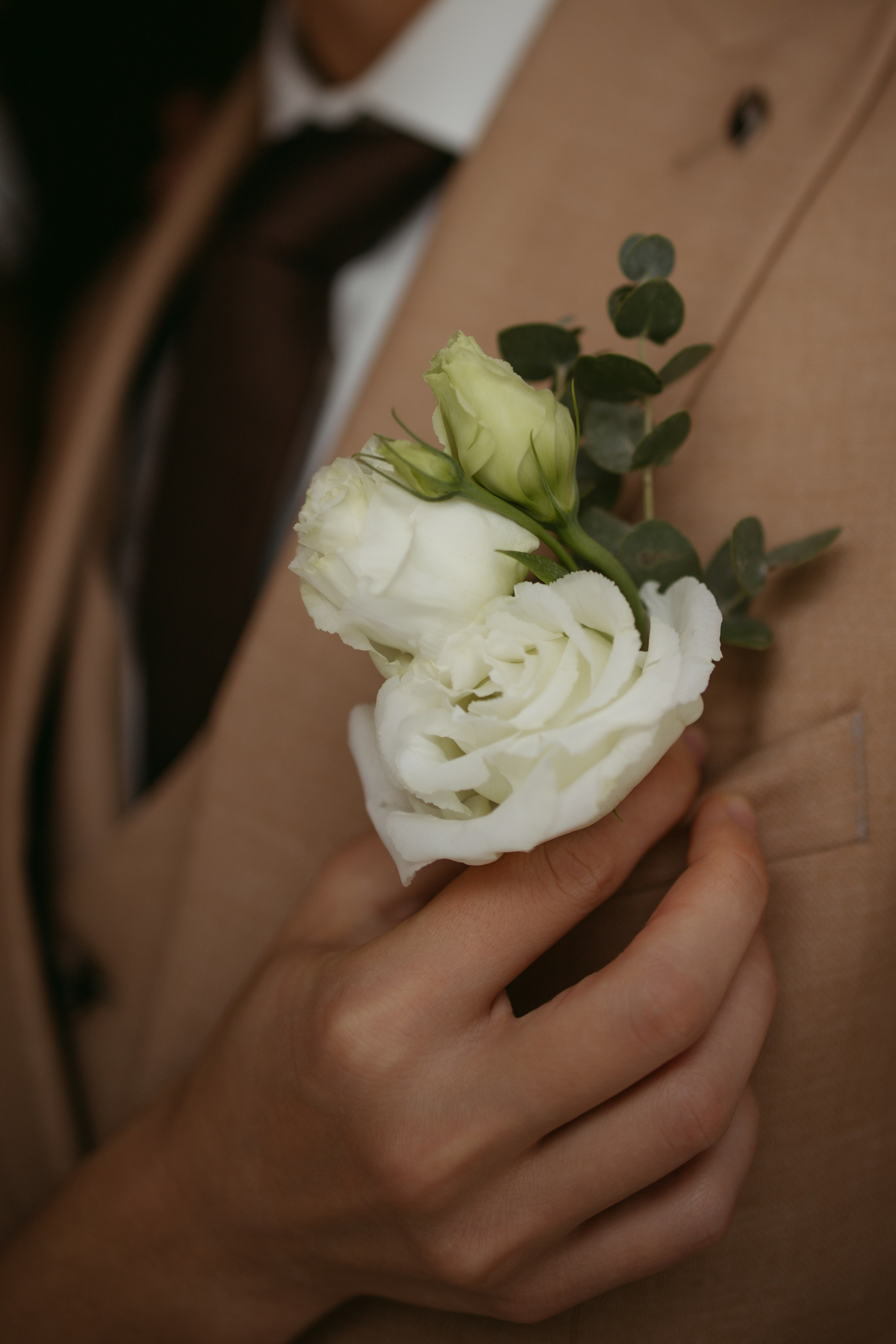 Владимир & Анна