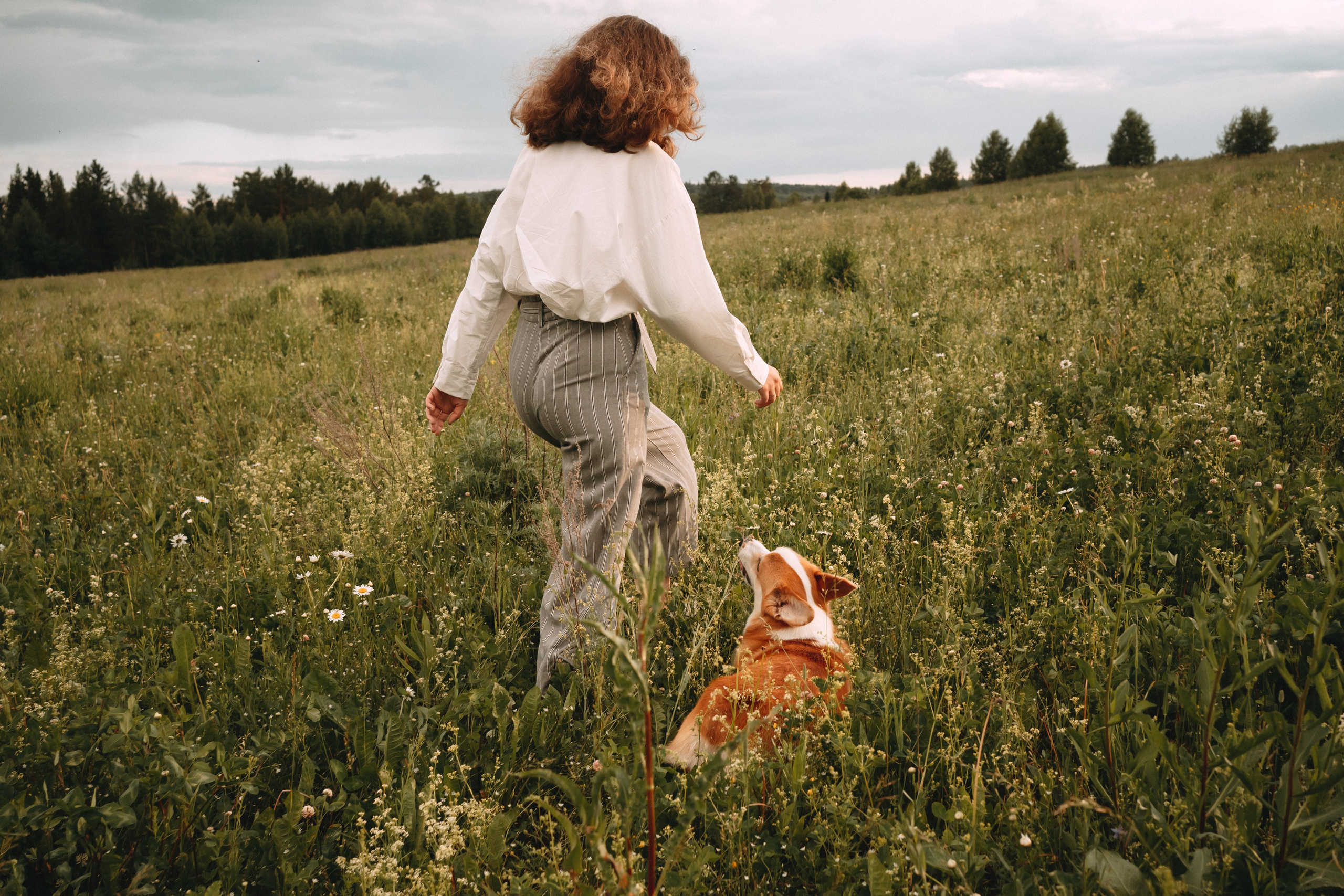 Алсу, Саша, Нага и Тако. Фотограф-анималист Анастасия Большакова