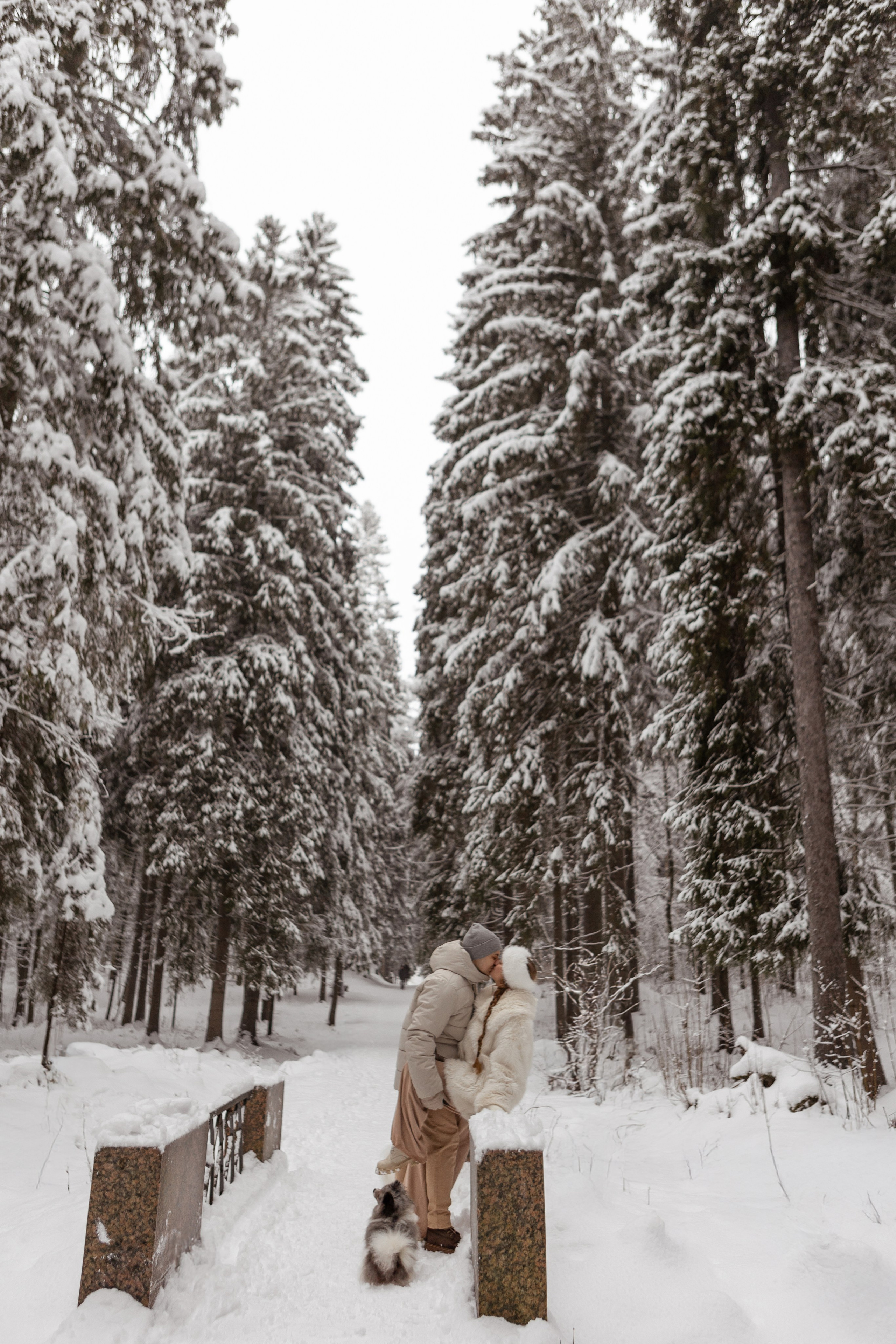 Новогодняя фотосессия с собачками в шуваловском парке. Свадебный фотограф в СПБ | Санкт-Петербурге Анастасия Рахимгулова