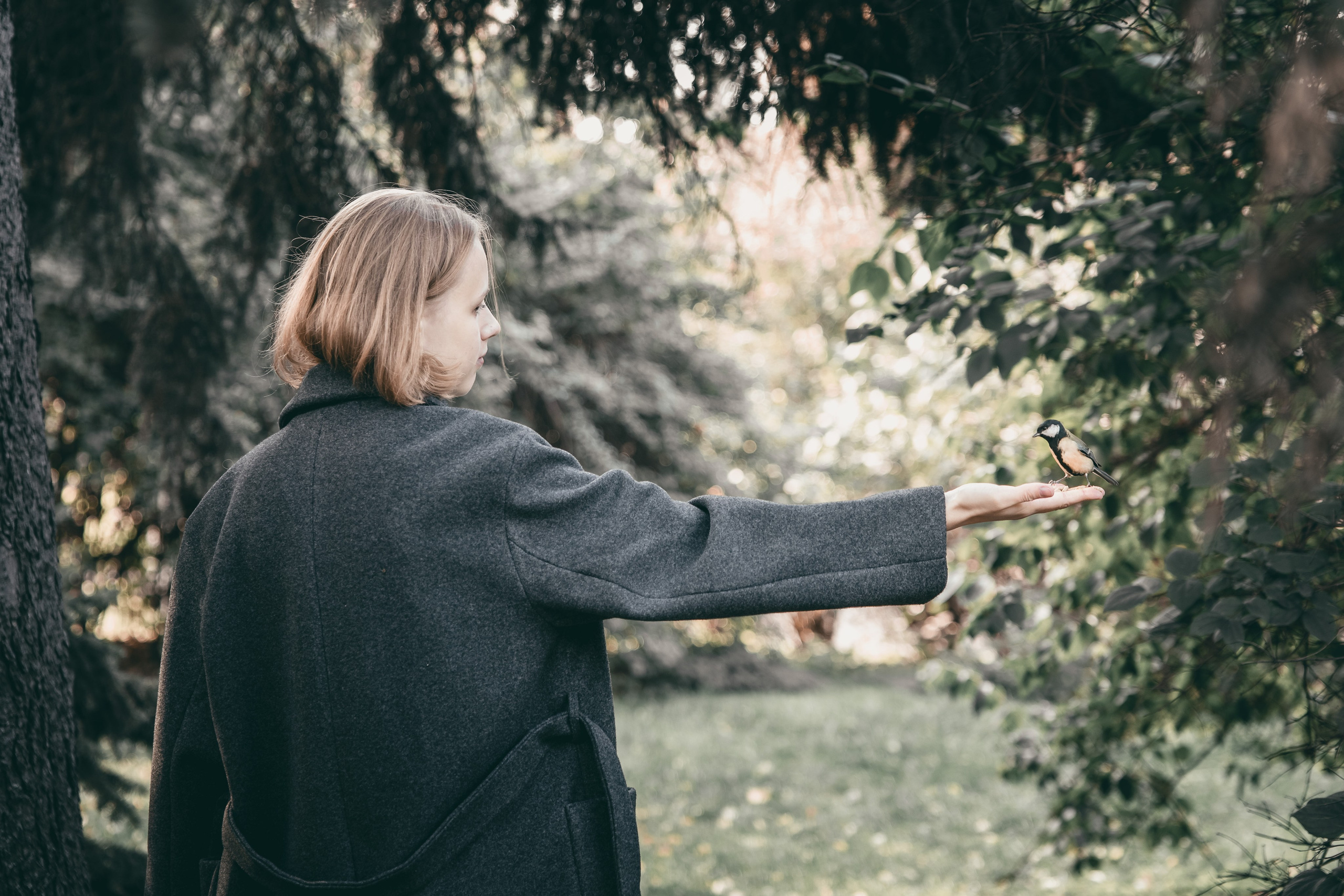 Осенняя прогулка в парке. Фотограф в Москве Мухина Ирина