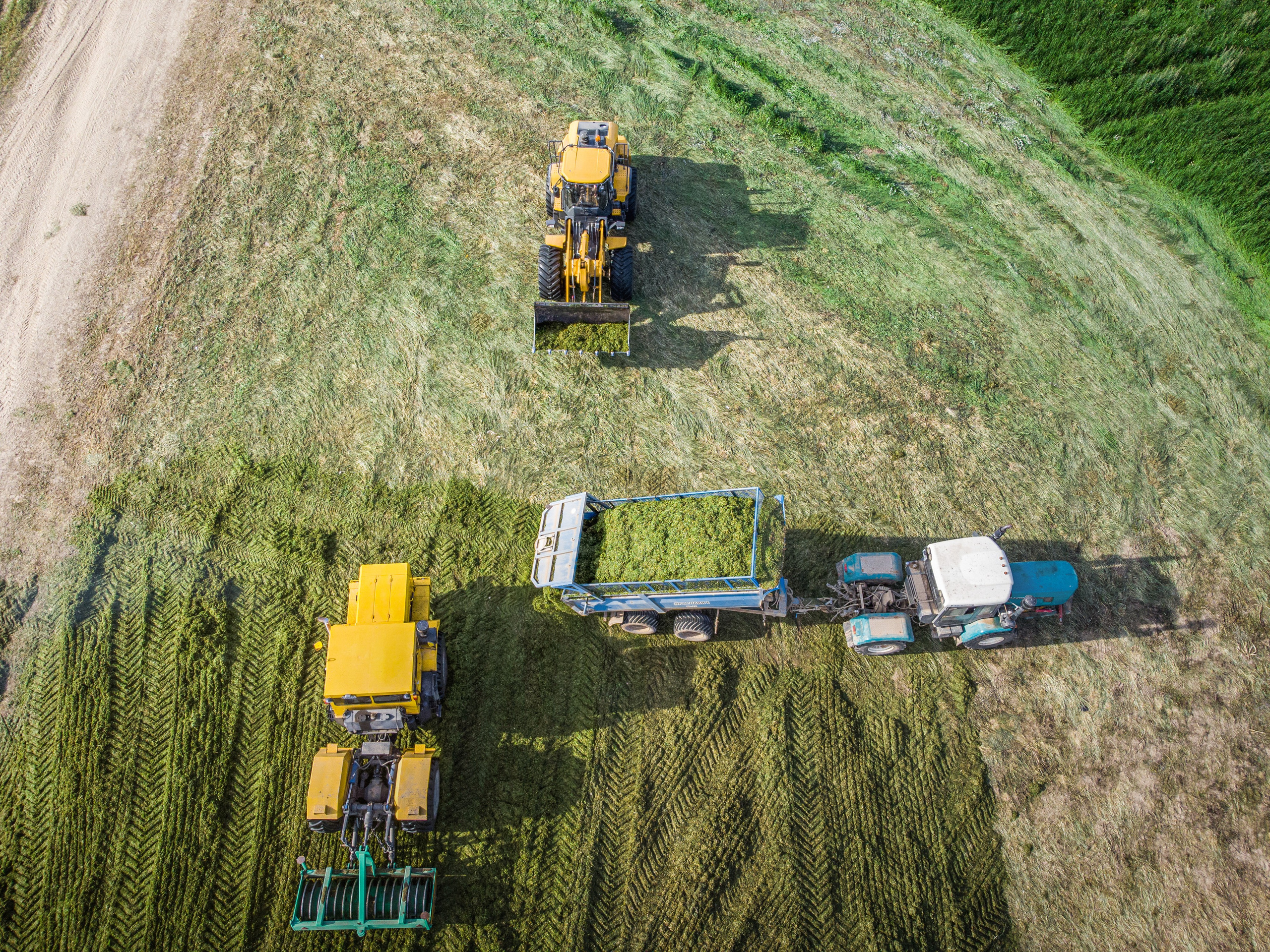 комбайны укатывают траву (силосование) , сельское хозяйство Любимского района, Ярославской области