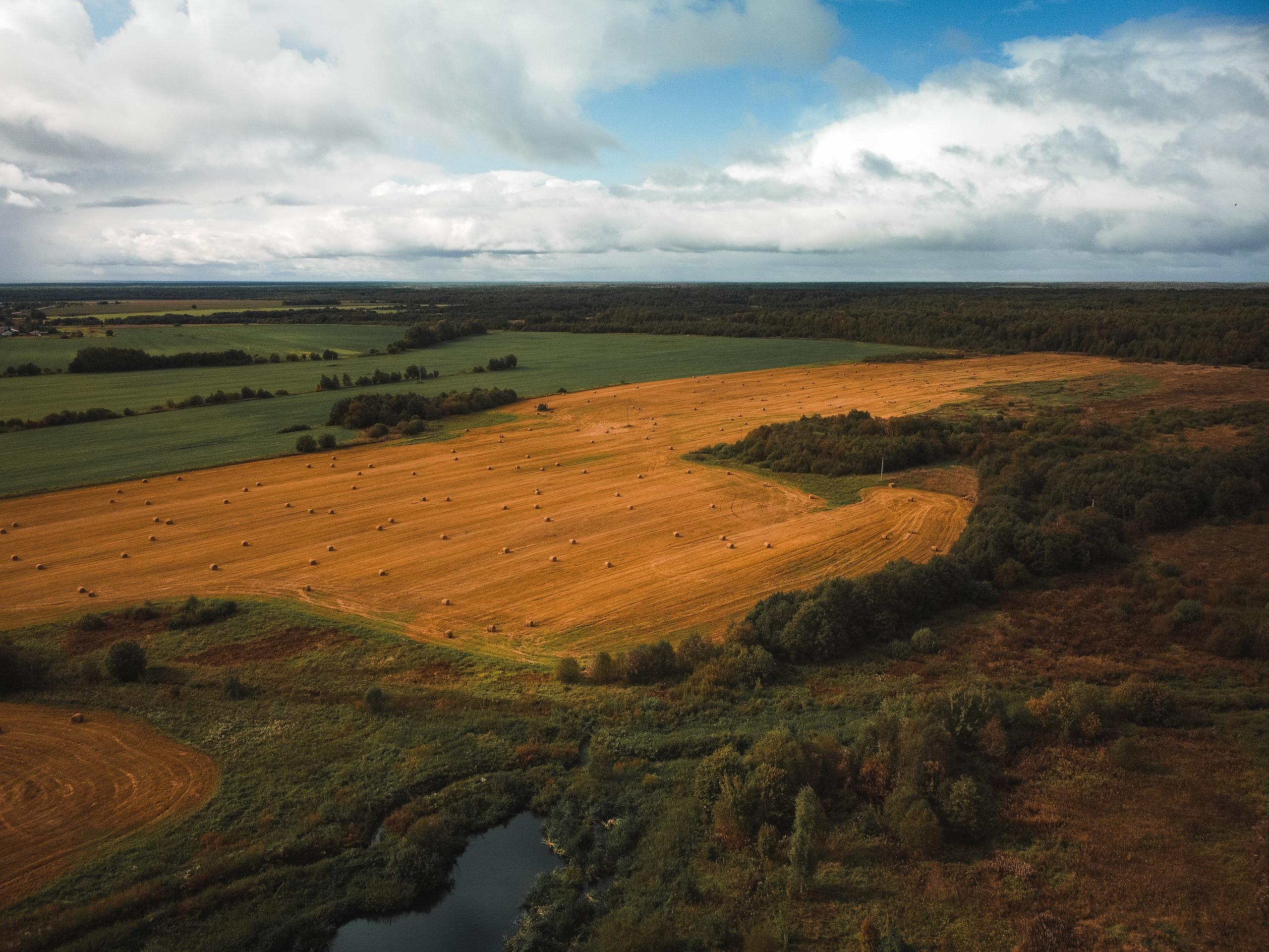 Поле с рулонами сена