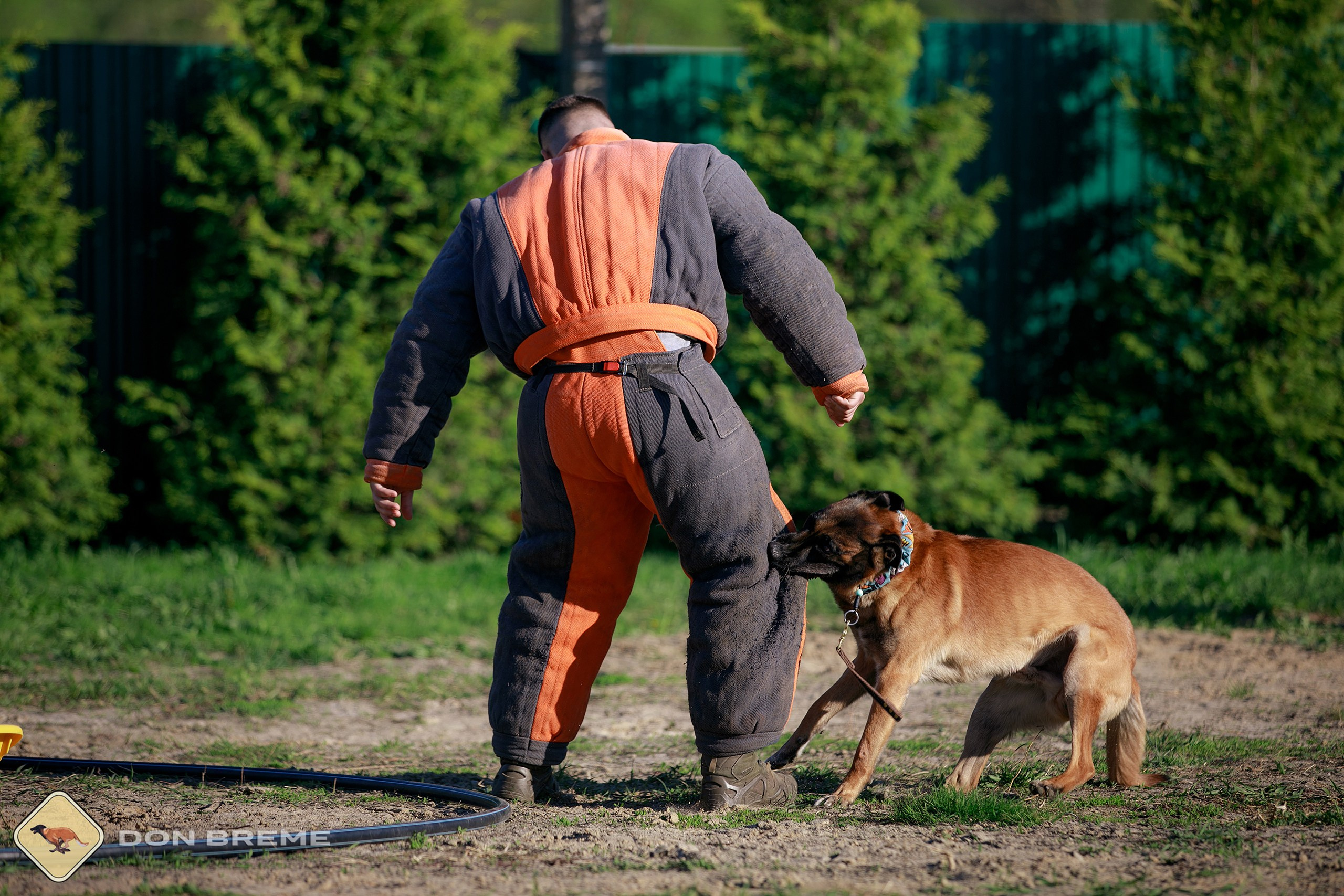 Семинар для фигурантов, день 3. Фотограф-анималист Mary Mart — Москва, Питер