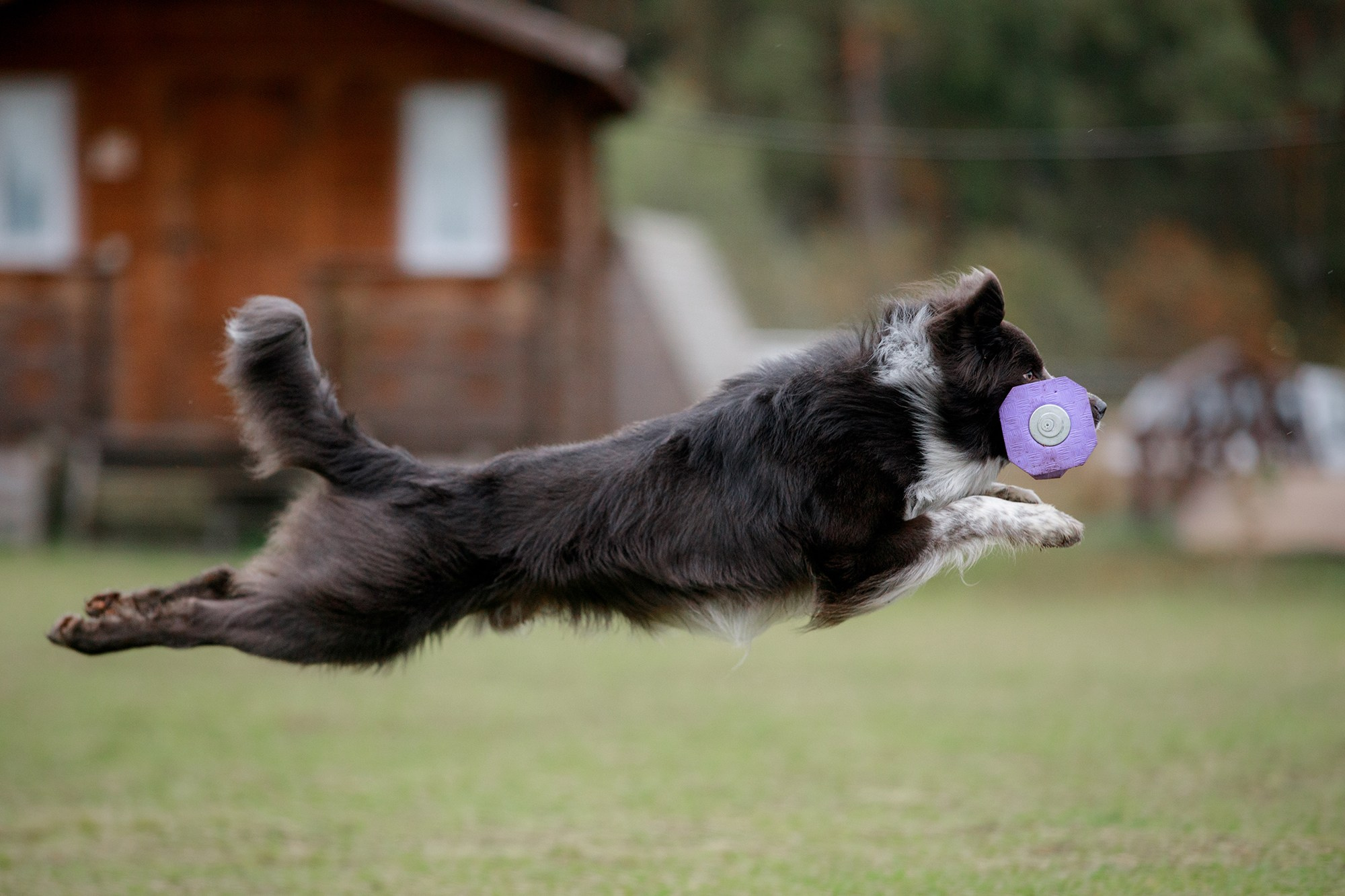 Лагерь по ОБД с Инной Баженовой. Фотограф-анималист Mary Mart — Москва, Питер