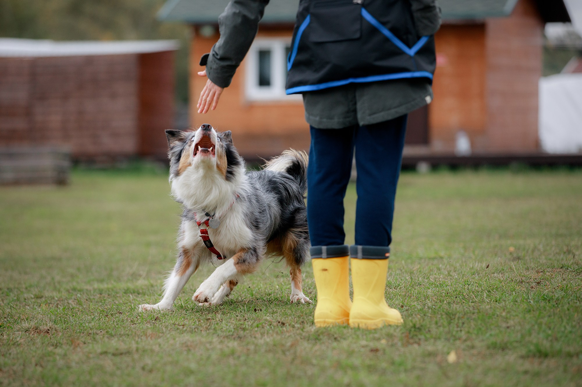 Лагерь по ОБД с Инной Баженовой. Фотограф-анималист Mary Mart — Москва, Питер