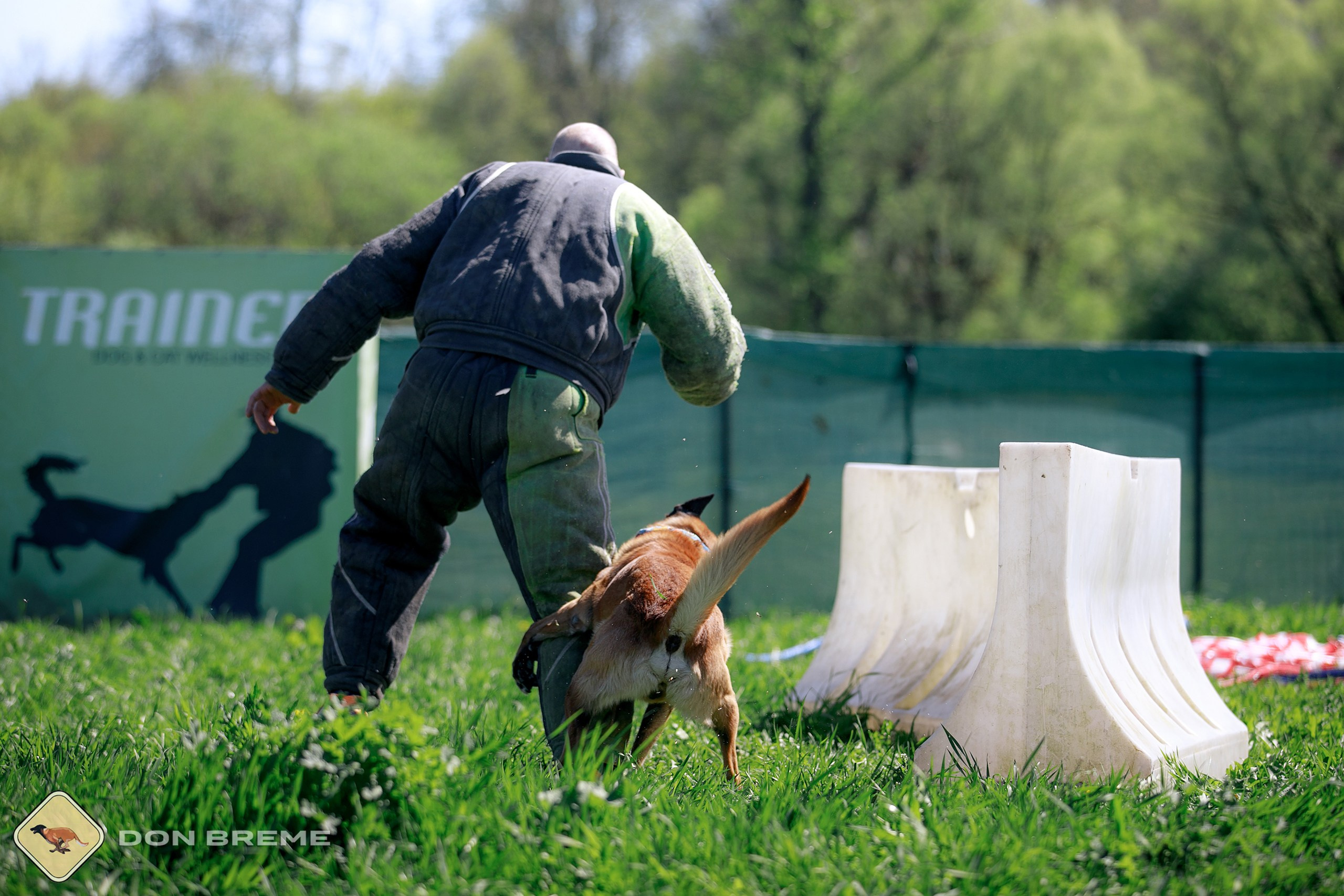 Семинар для фигурантов, день 3. Фотограф-анималист Mary Mart — Москва, Питер