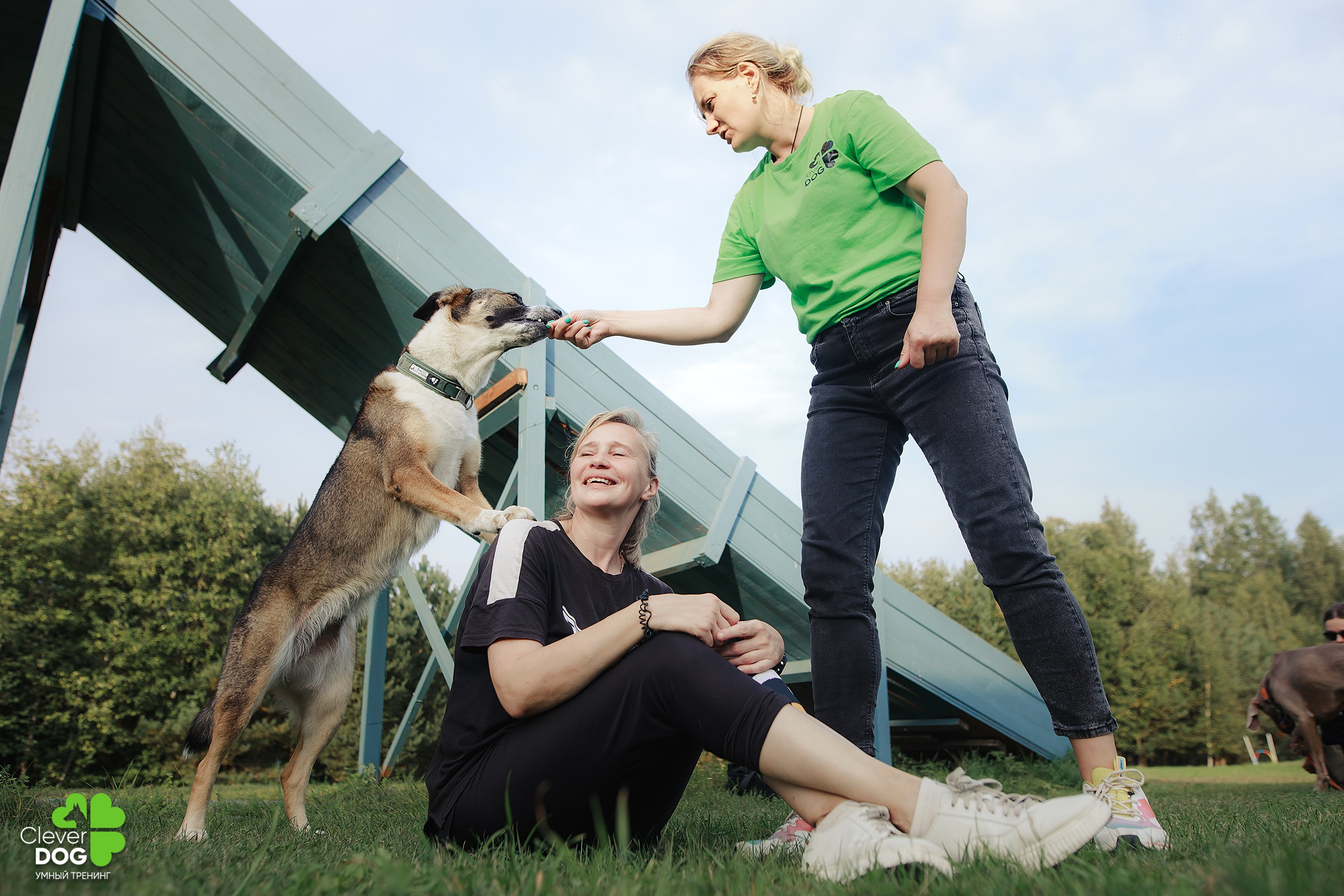 Кинологический лагерь CleverDog, 2024. Фотограф-анималист Mary Mart — Москва, Питер