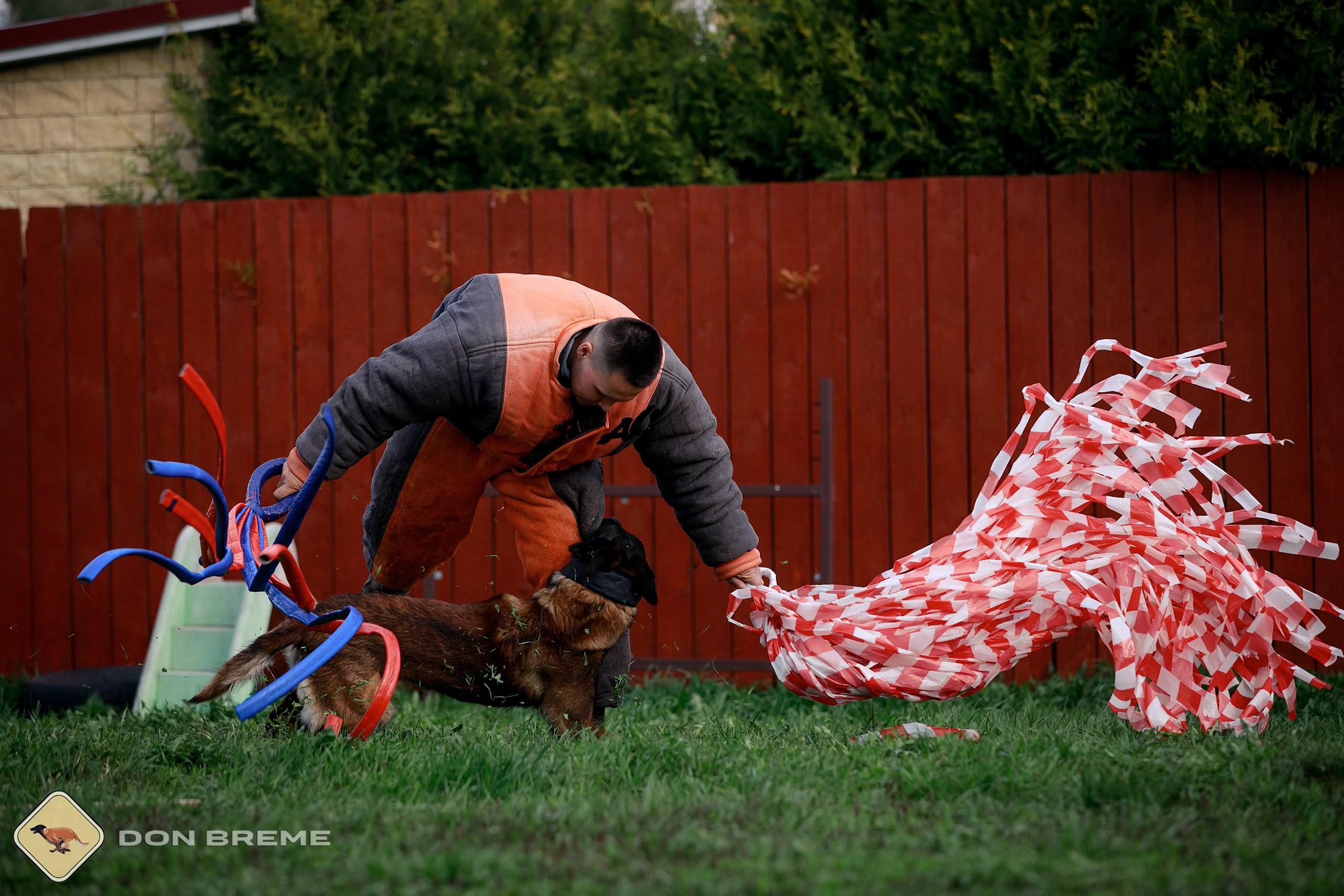 Семинар для фигурантов, день 2. Фотограф-анималист Mary Mart — Москва, Питер
