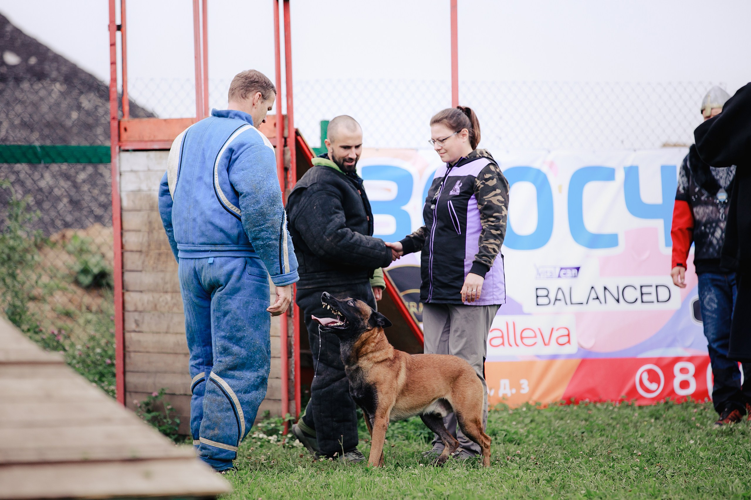Мондьоринг М1, М2, М3, Вологда. Фотограф-анималист Mary Mart — Москва, Питер