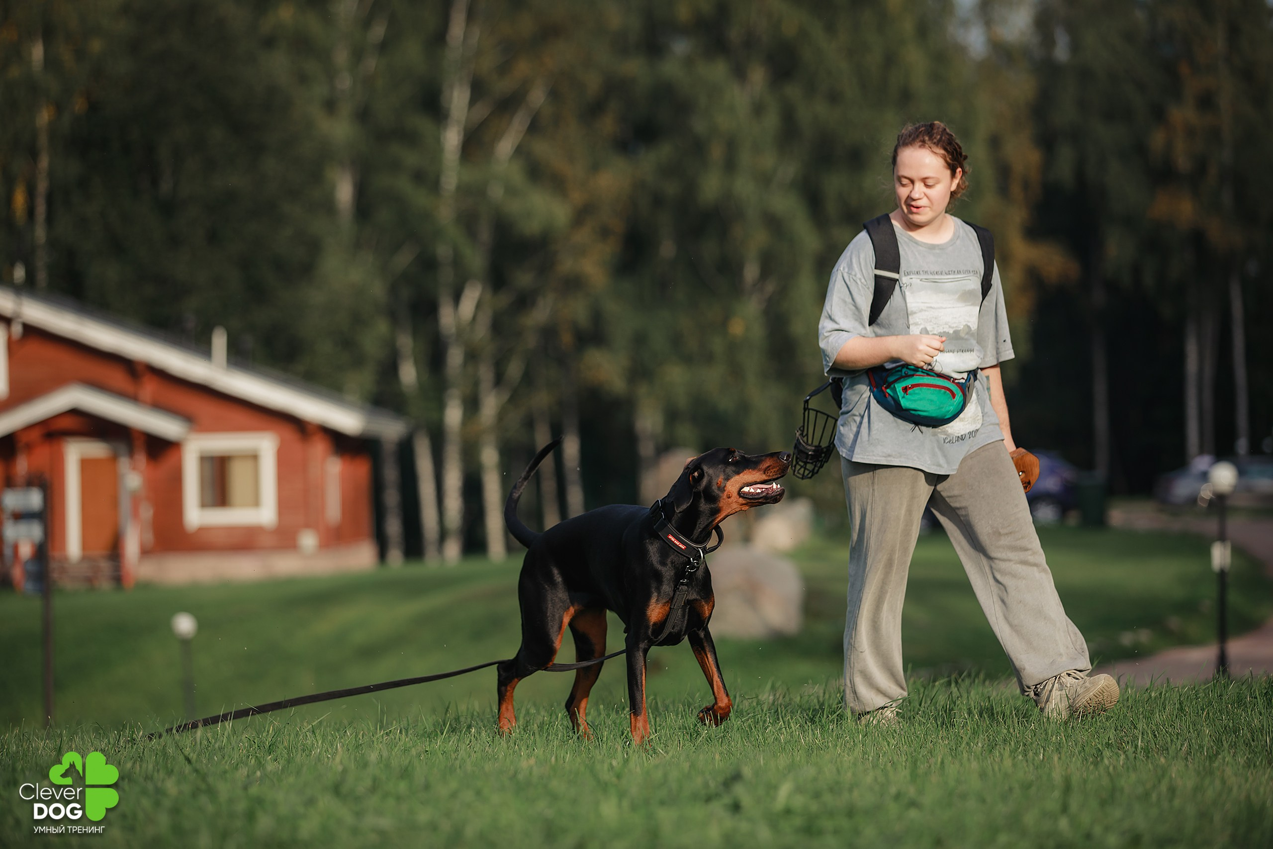 Кинологический лагерь CleverDog, 2024. Фотограф-анималист Mary Mart — Москва, Питер