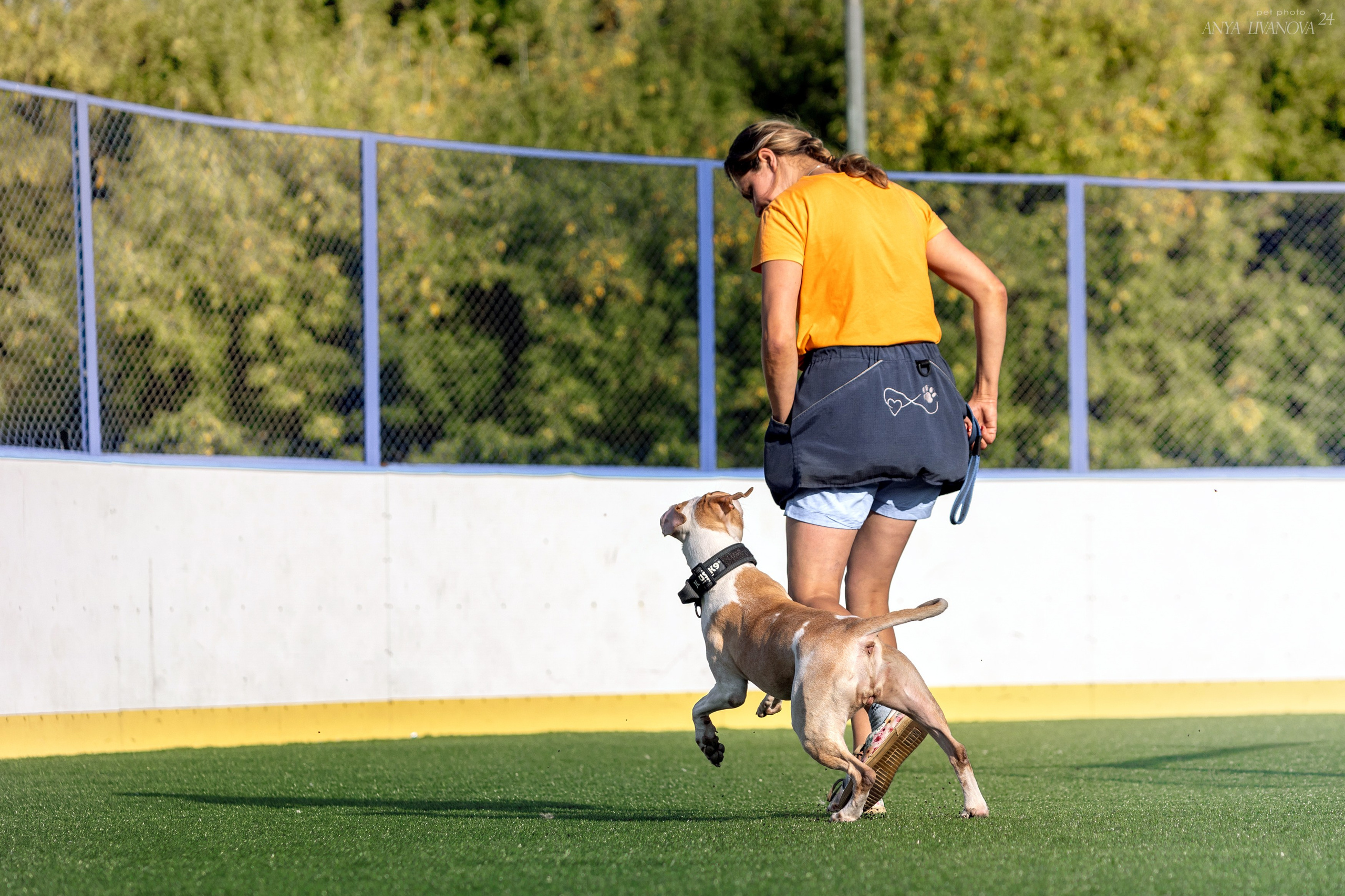 Ралли обидиенс. Фотограф анималист Аня Ливанова | Рыбинск