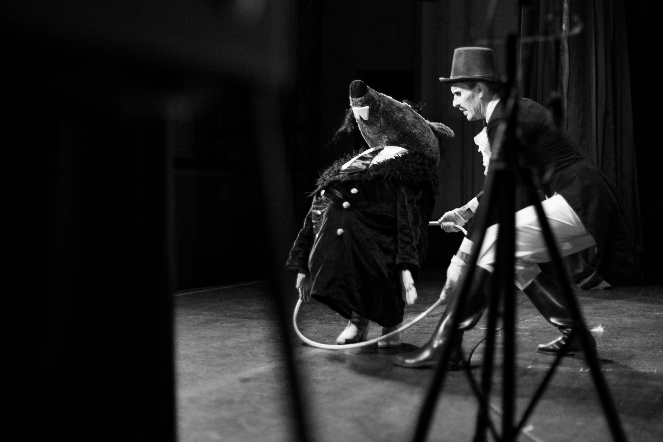 Самый Лучший Цирк. Фотограф Кристина