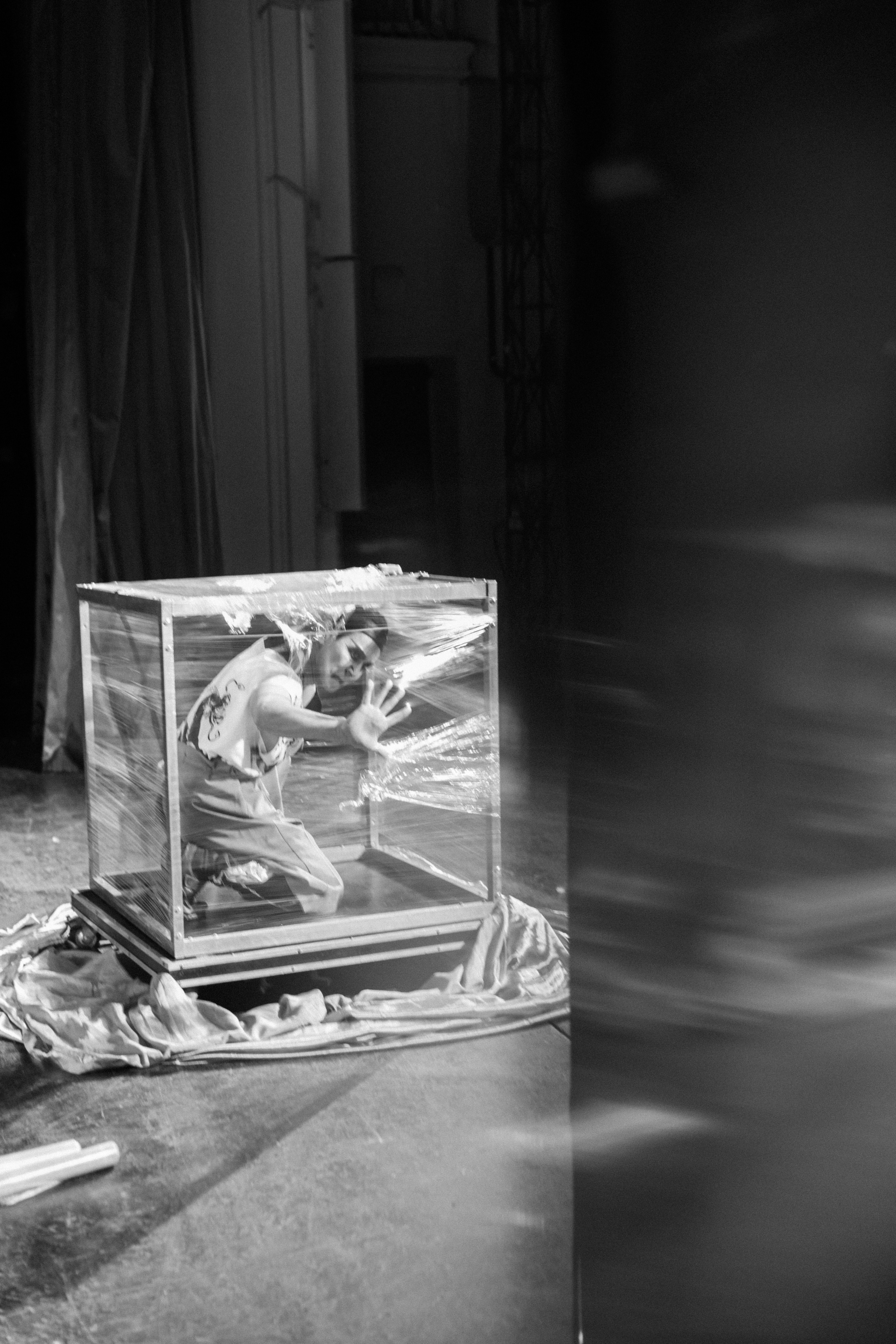 Самый Лучший Цирк. Фотограф Кристина