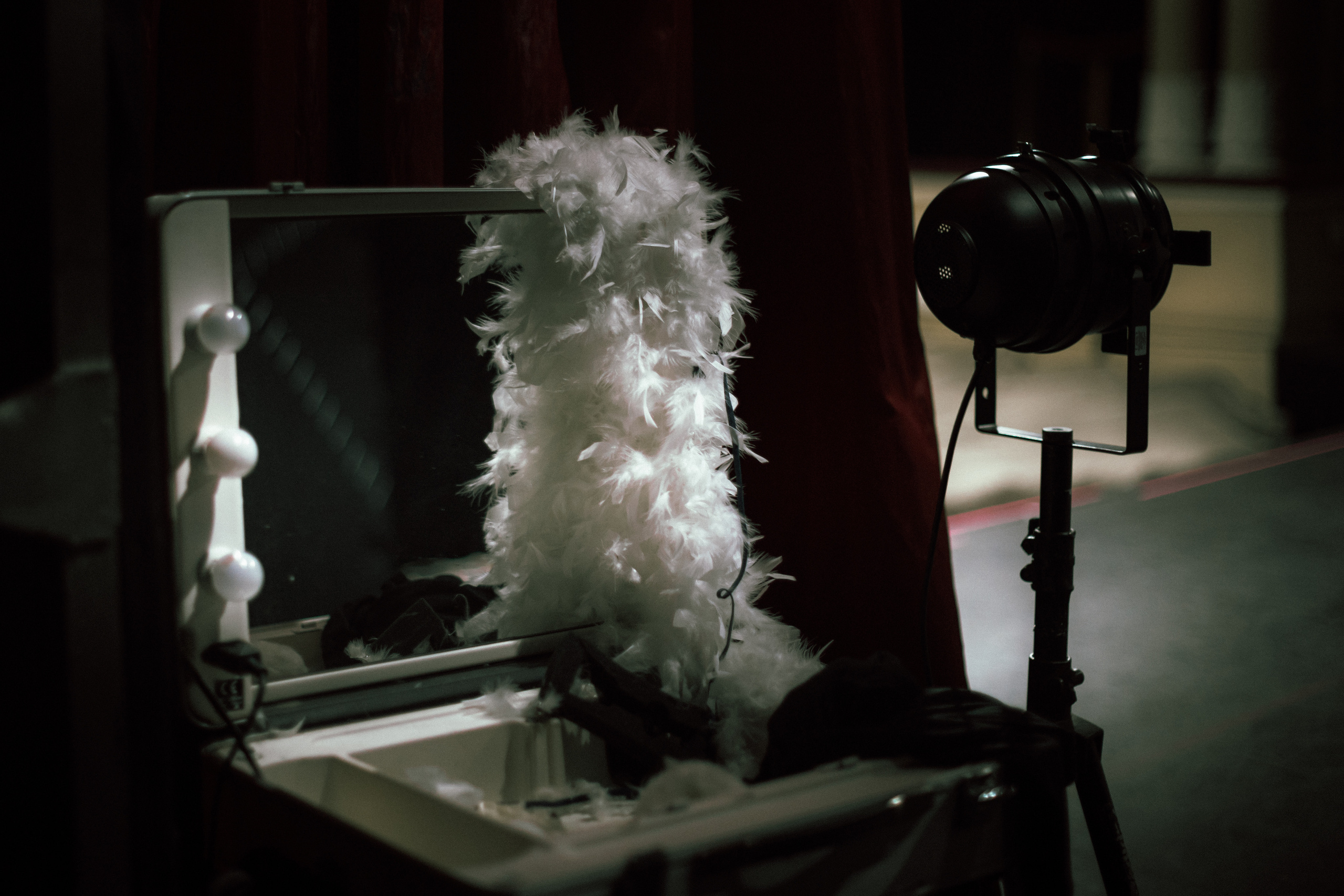 Самый Лучший Цирк. Фотограф Кристина