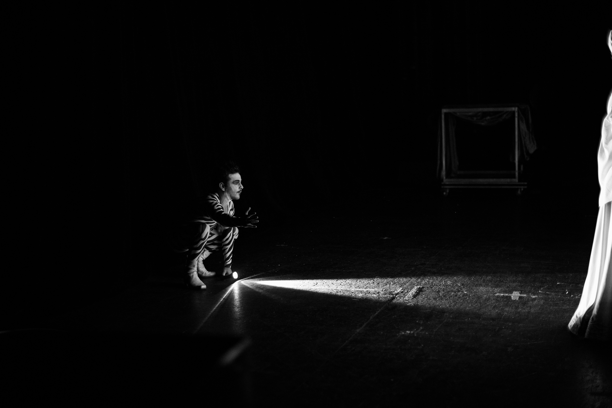 Самый Лучший Цирк. Фотограф Кристина