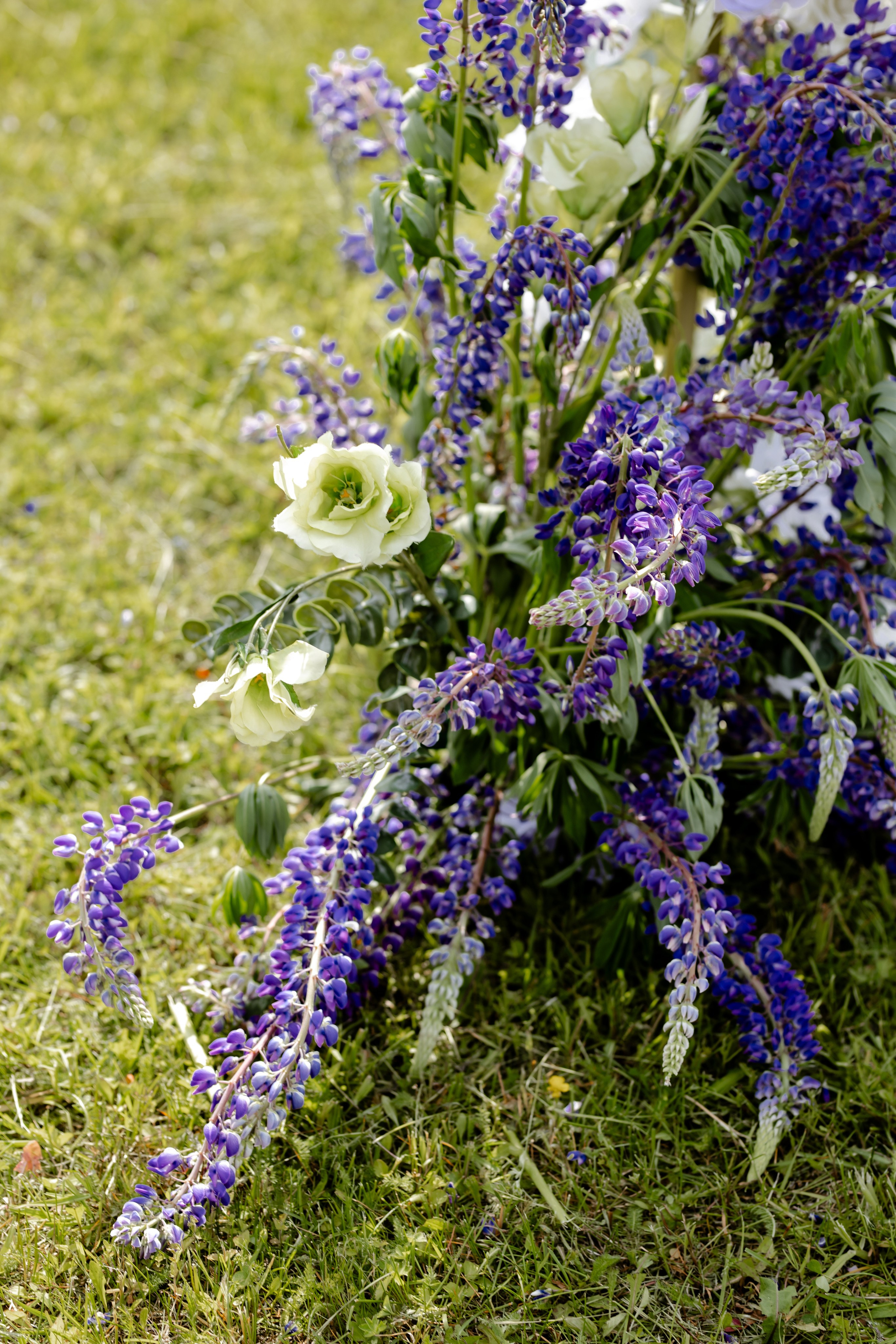 Свадебный день Сергея и Кати. Свадебный фотограф Анна Бабахина